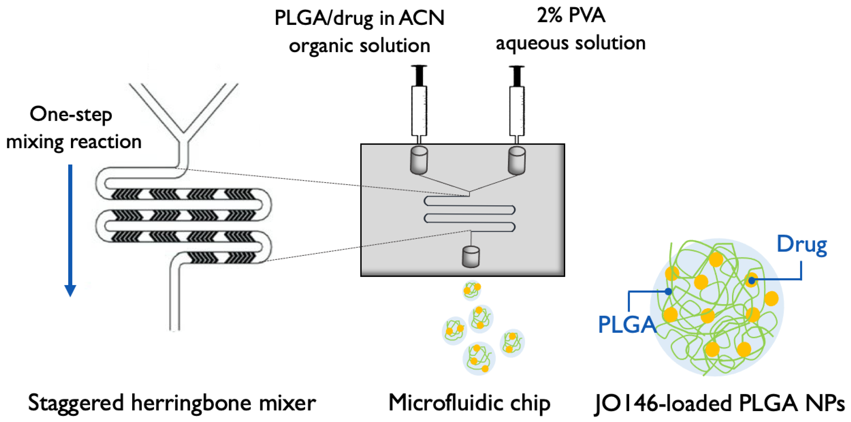 Pharmaceutics 14 00348 g002