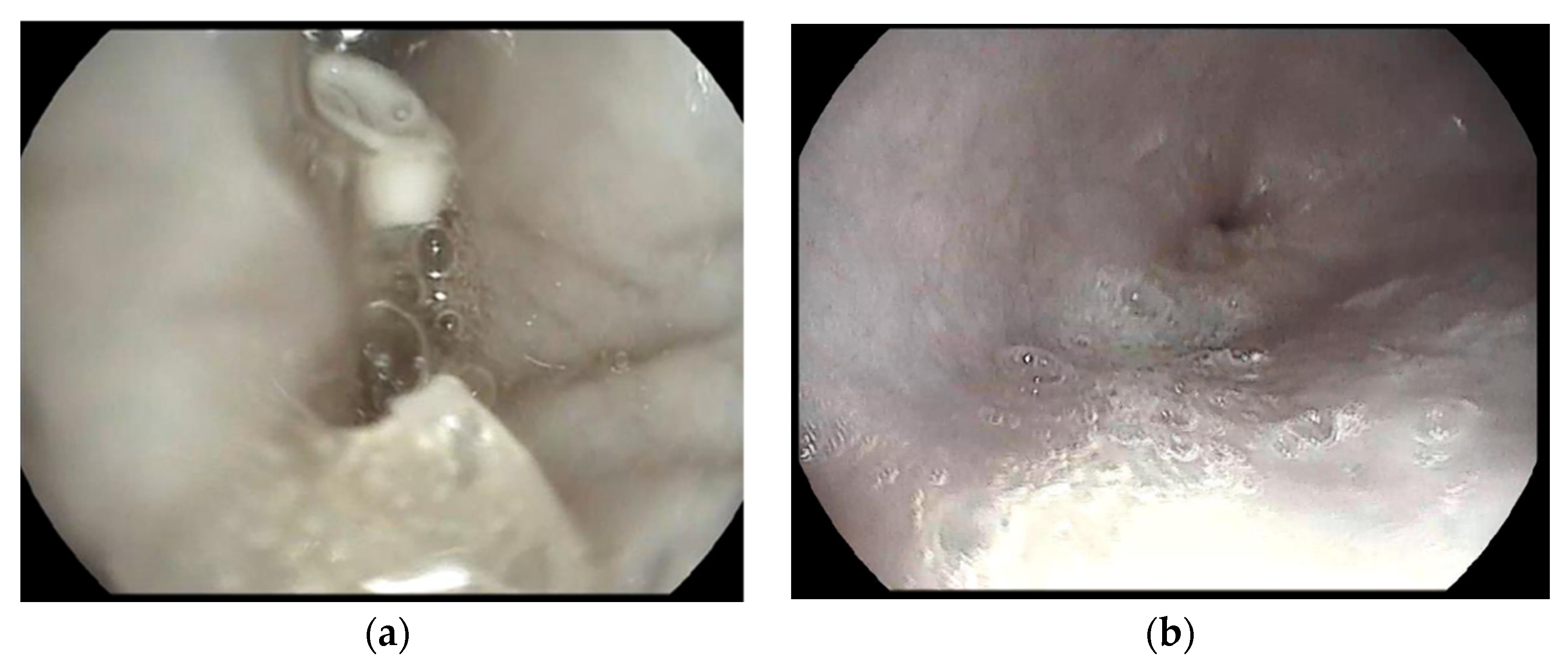 Pharmaceutics 14 00350 g012 Pharmaceutics 14 00350 g012