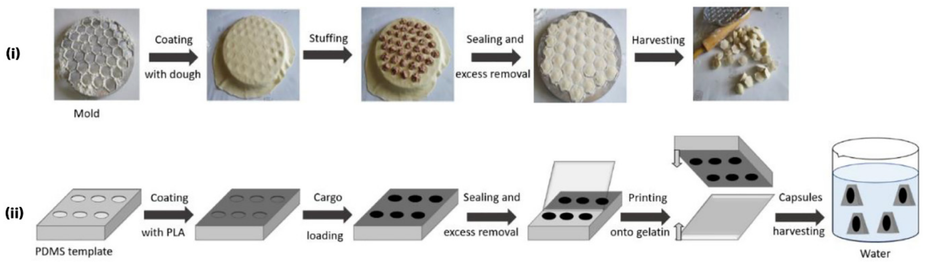 Pharmaceutics 14 00359 g007