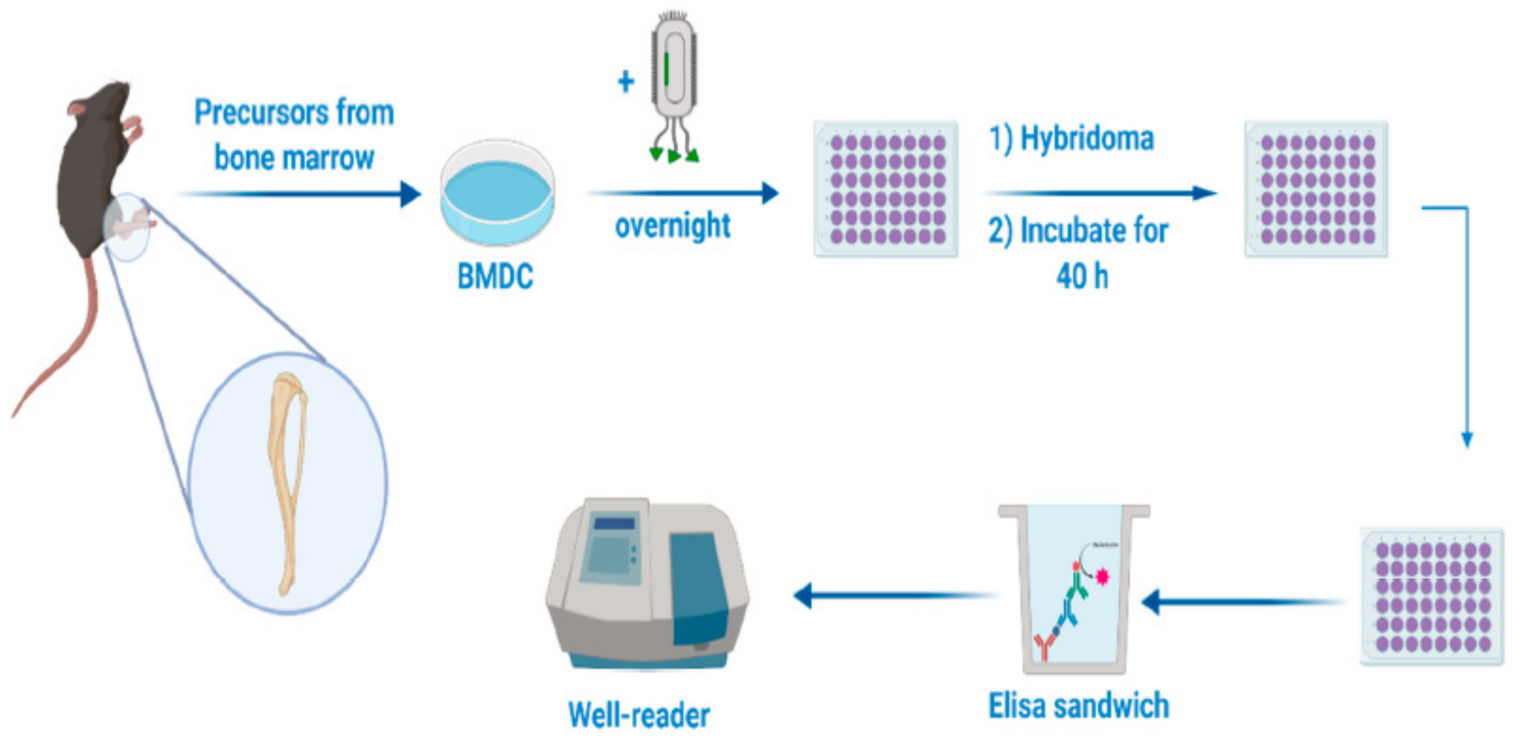 Pharmaceutics 14 00359 g011