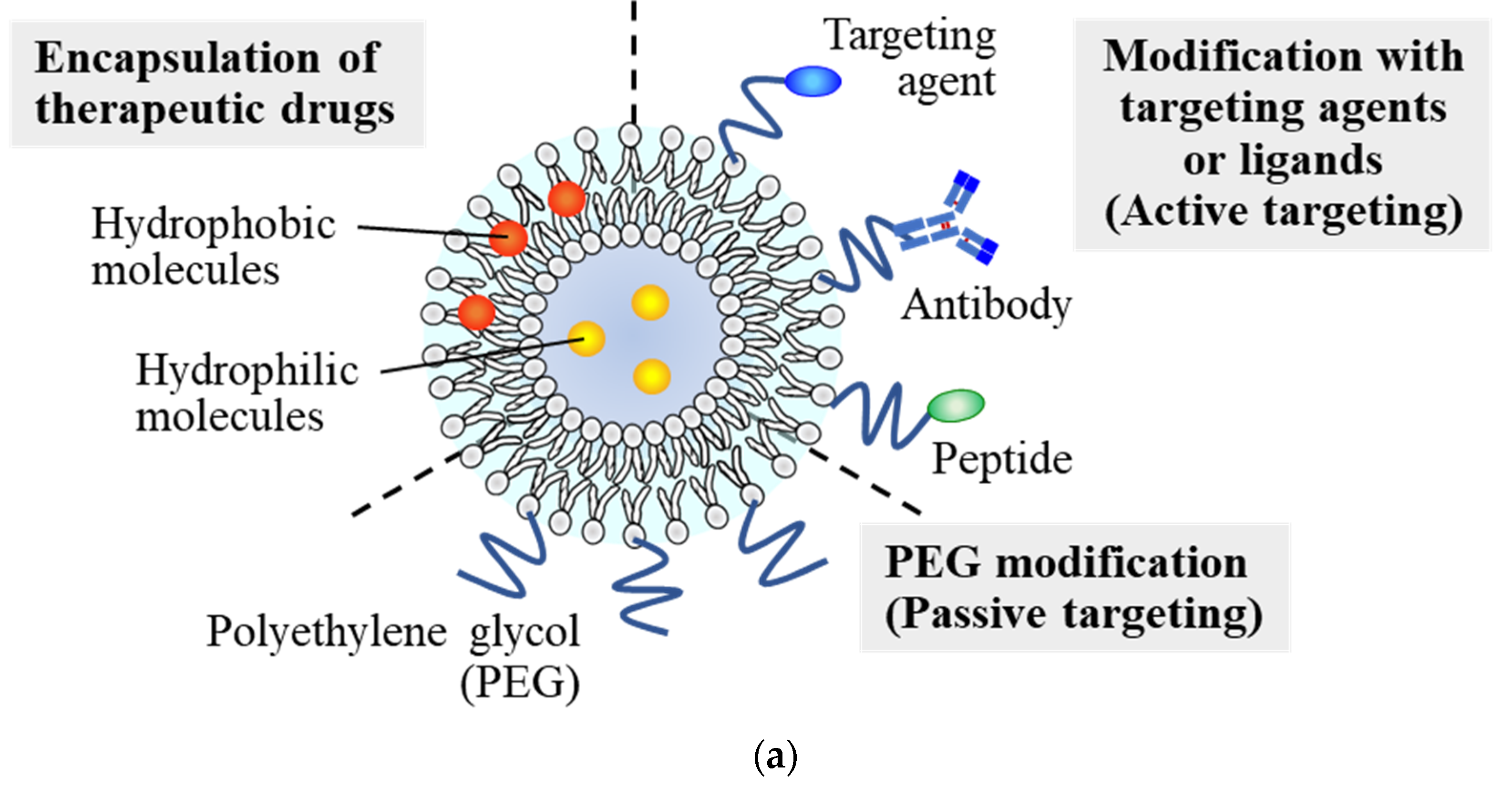 Pharmaceutics 14 00361 g001a Pharmaceutics 14 00361 g001a