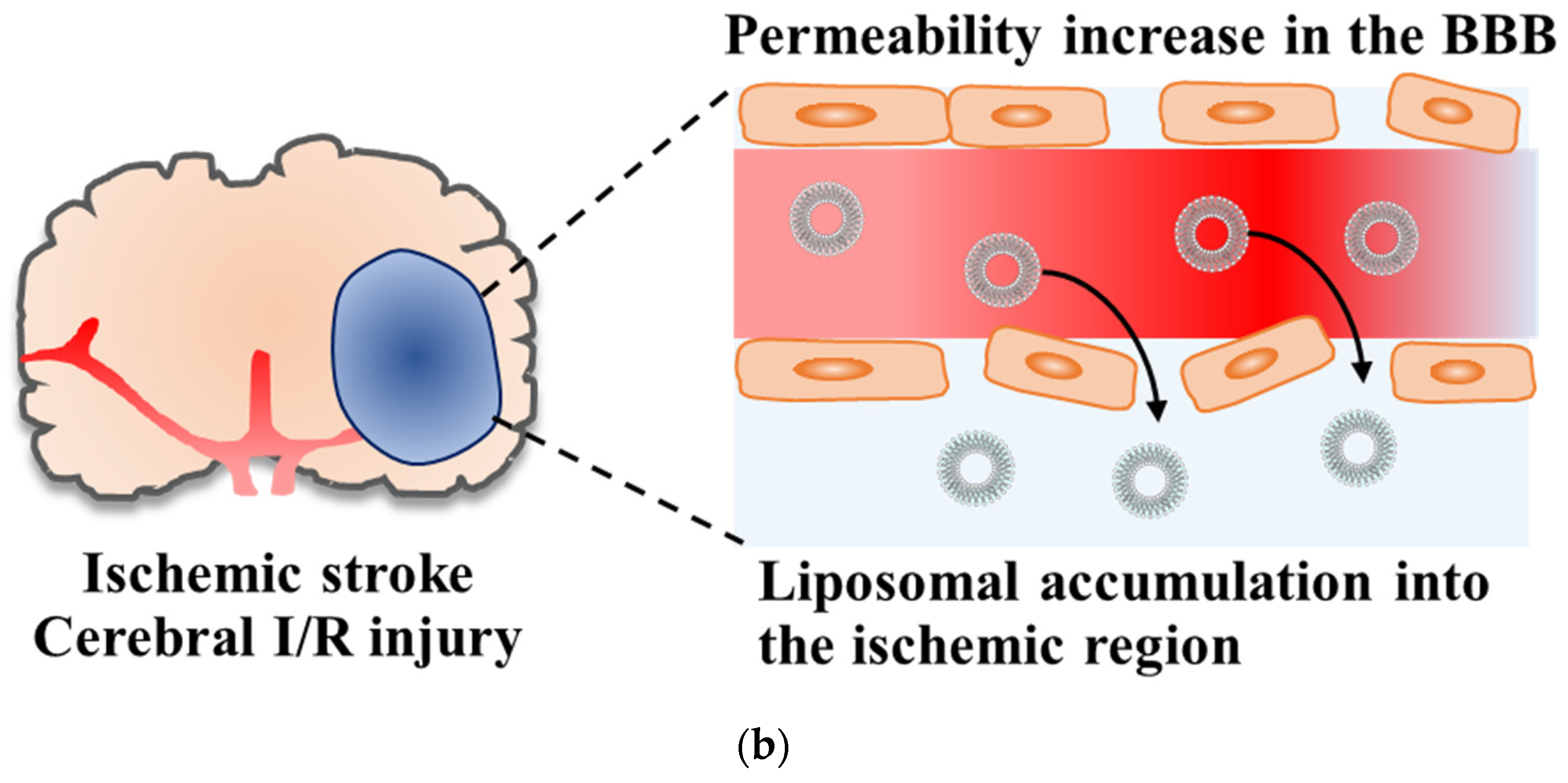 Pharmaceutics 14 00361 g001b Pharmaceutics 14 00361 g001b