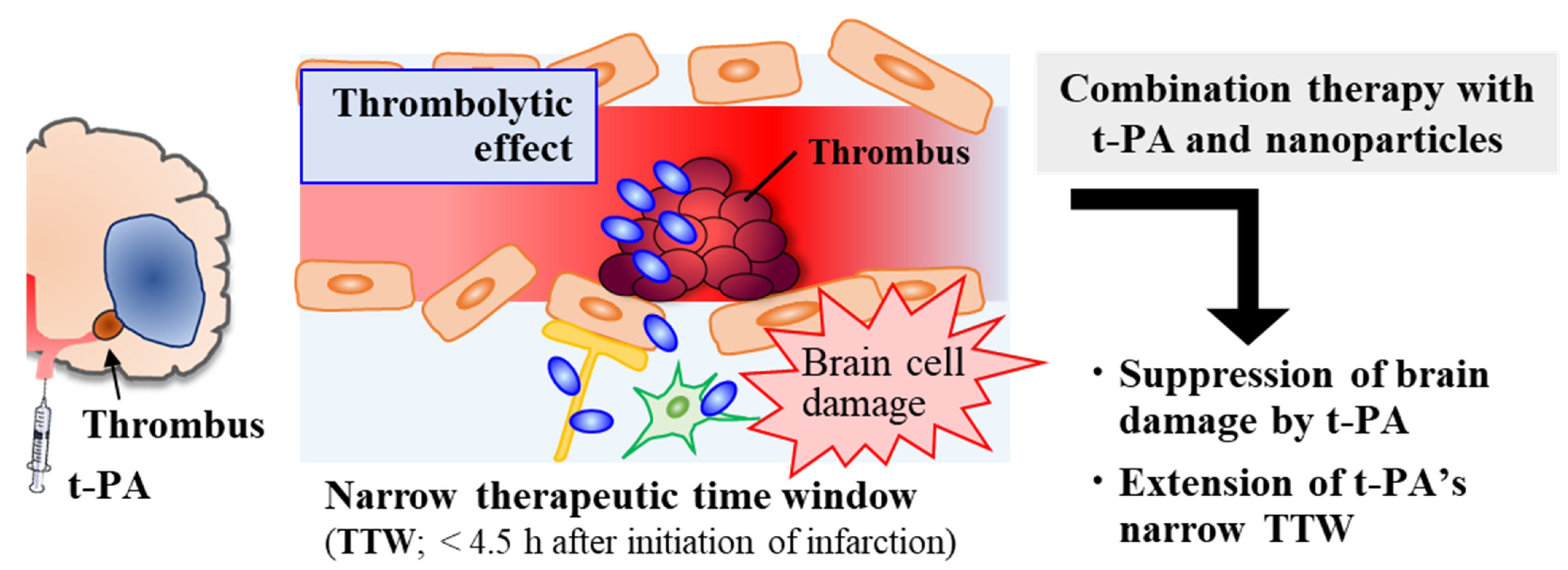 Pharmaceutics 14 00361 g002 Pharmaceutics 14 00361 g002