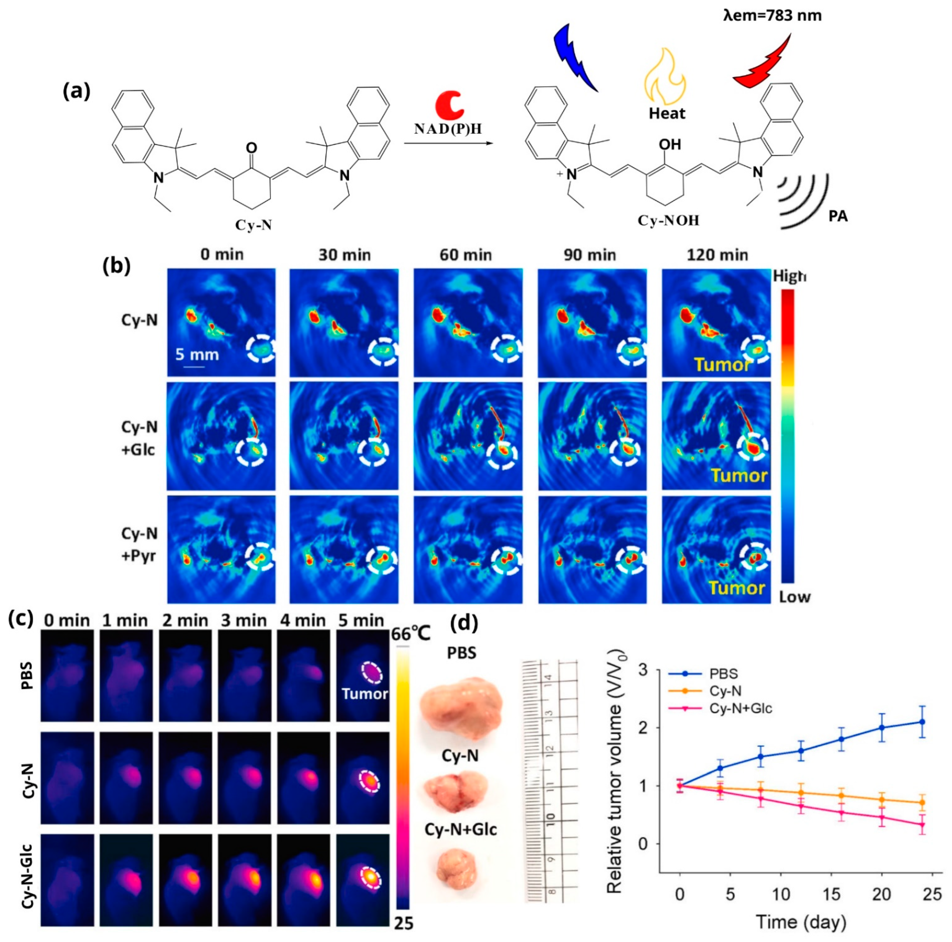 Pharmaceutics 14 00362 g012