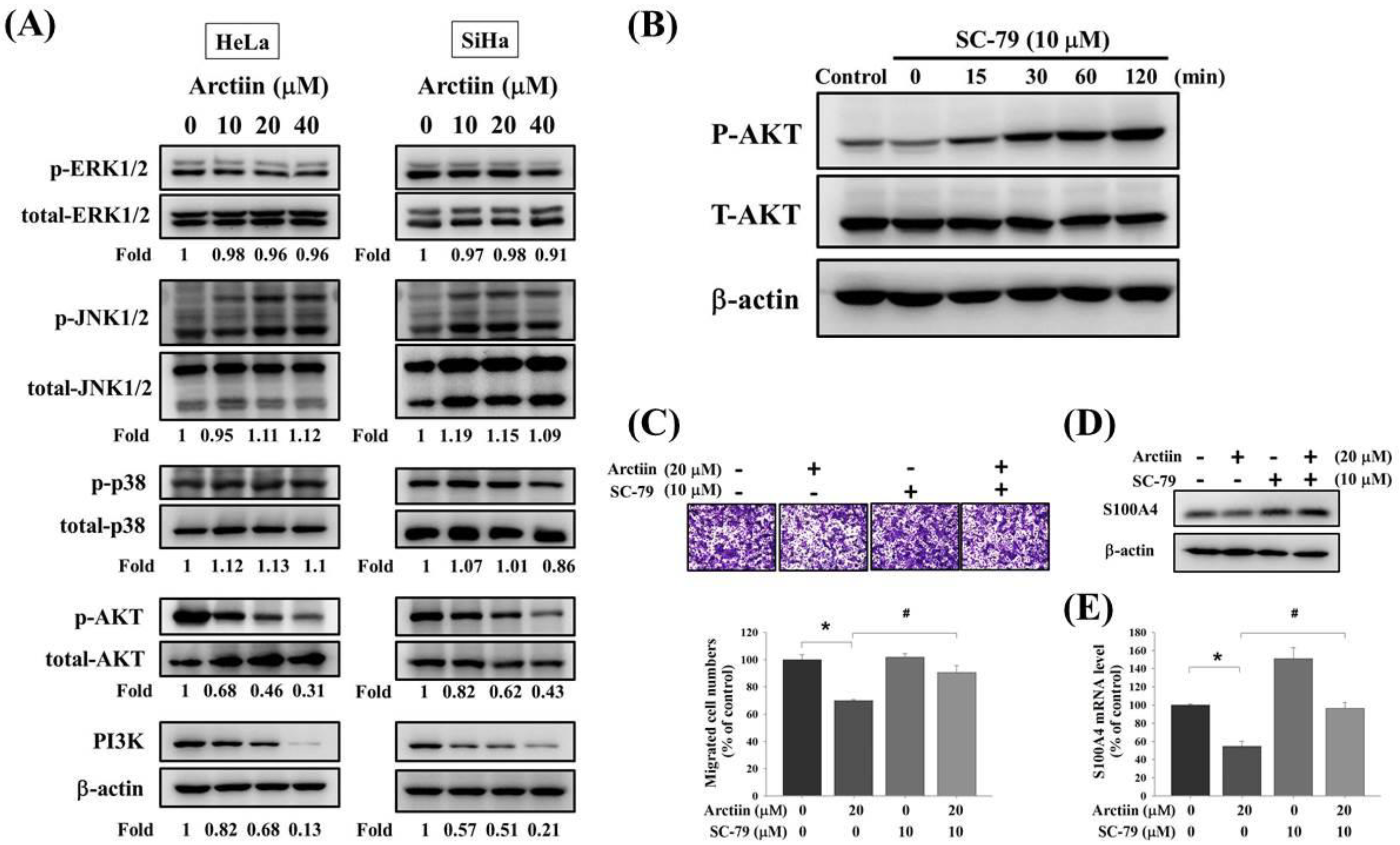 Pharmaceutics 14 00365 g005