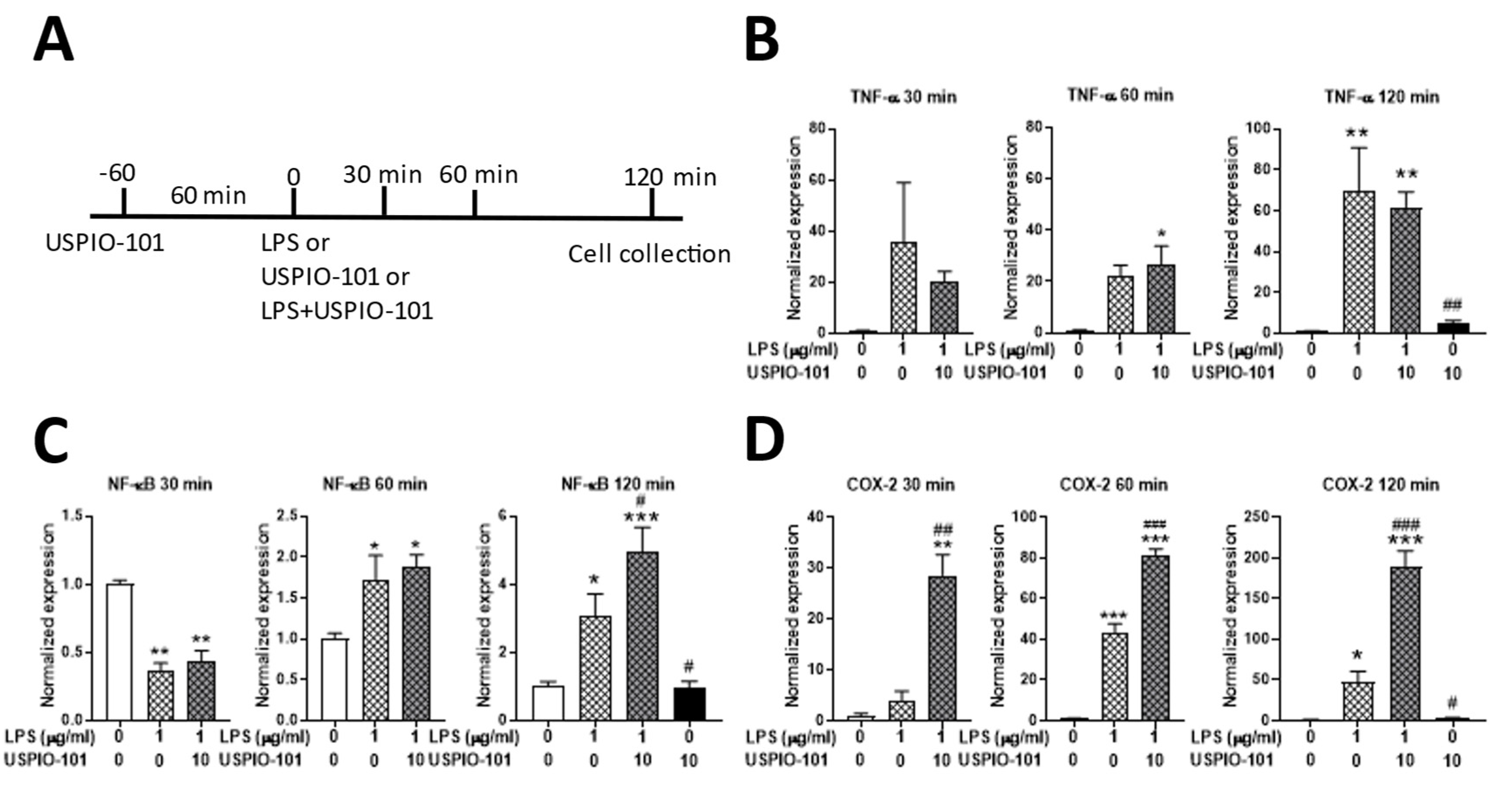 Pharmaceutics 14 00366 g006 550