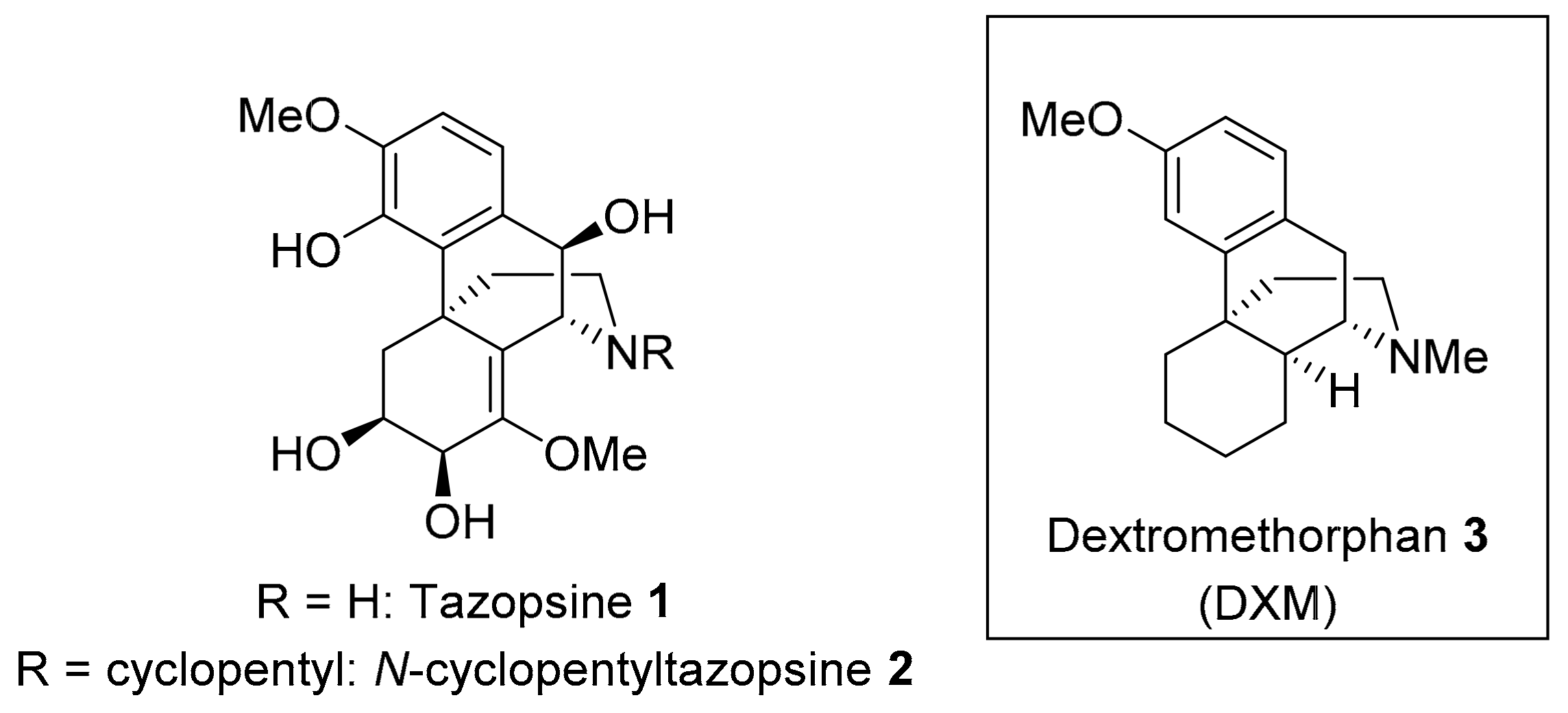 Pharmaceutics 14 00372 g001