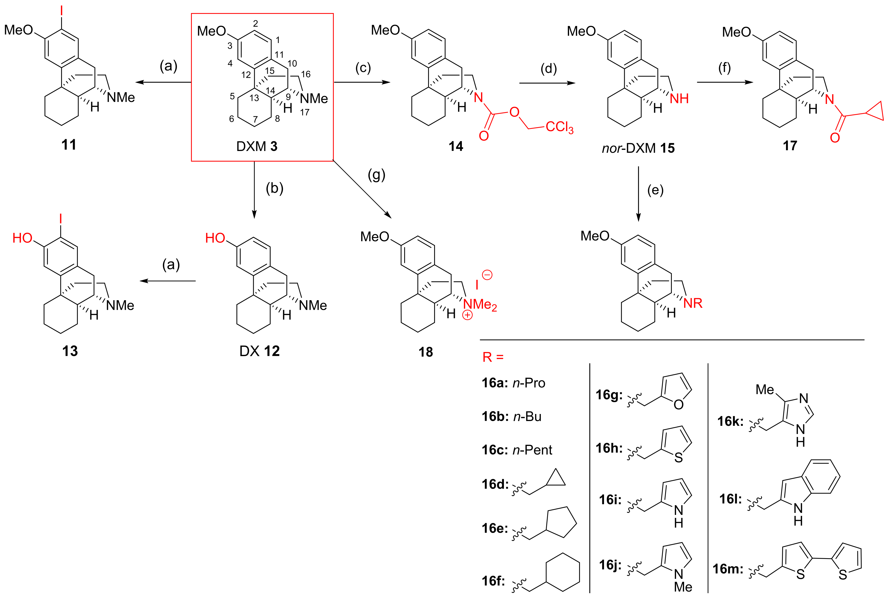 Pharmaceutics 14 00372 g004