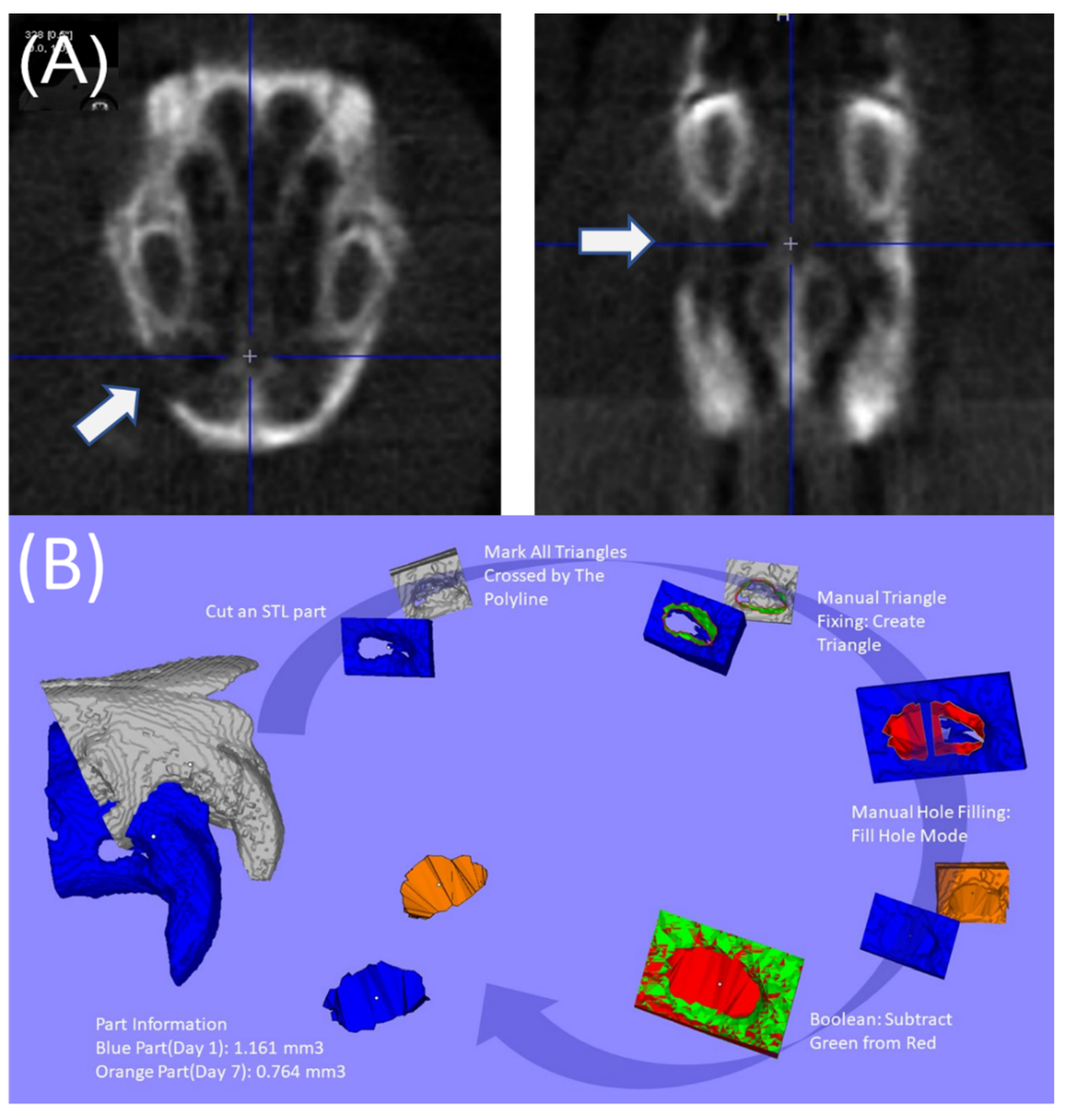Pharmaceutics 14 00374 g003