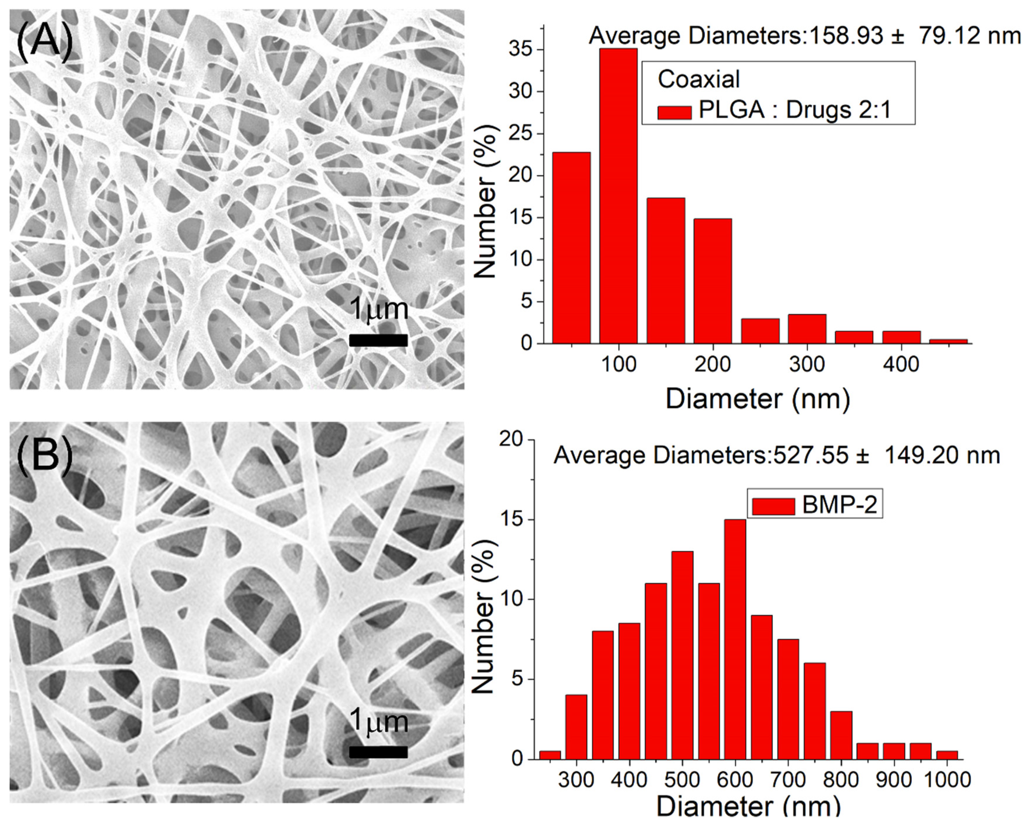 Pharmaceutics 14 00374 g004