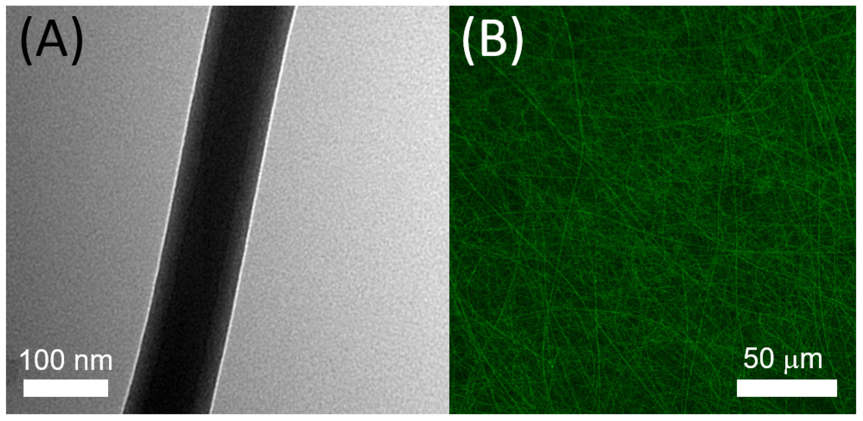 Pharmaceutics 14 00374 g005