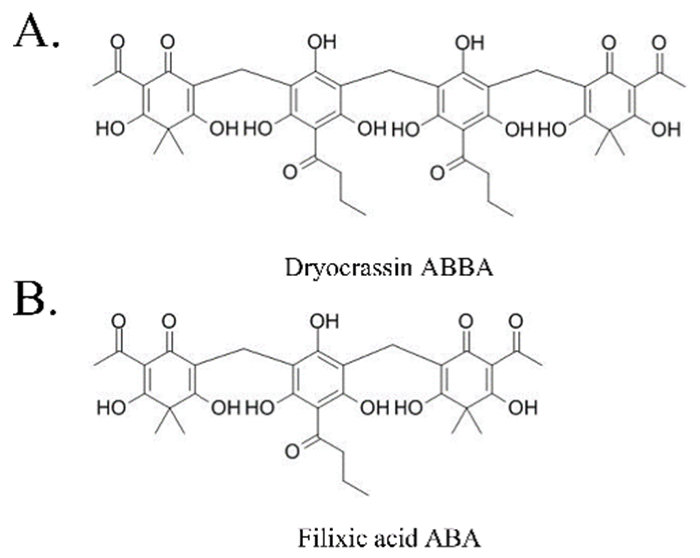 Pharmaceutics 14 00376 g001 550