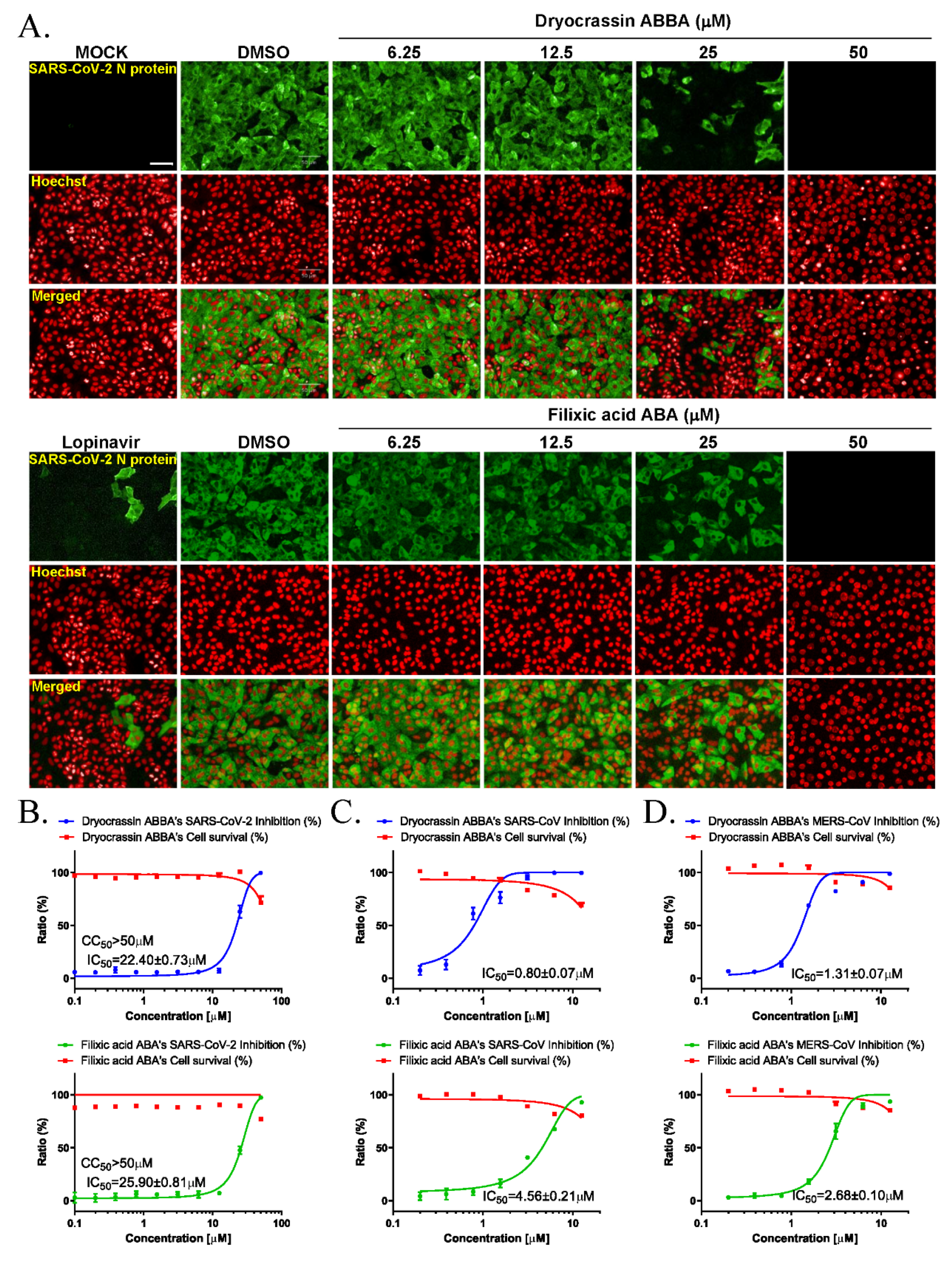 Pharmaceutics 14 00376 g003 550