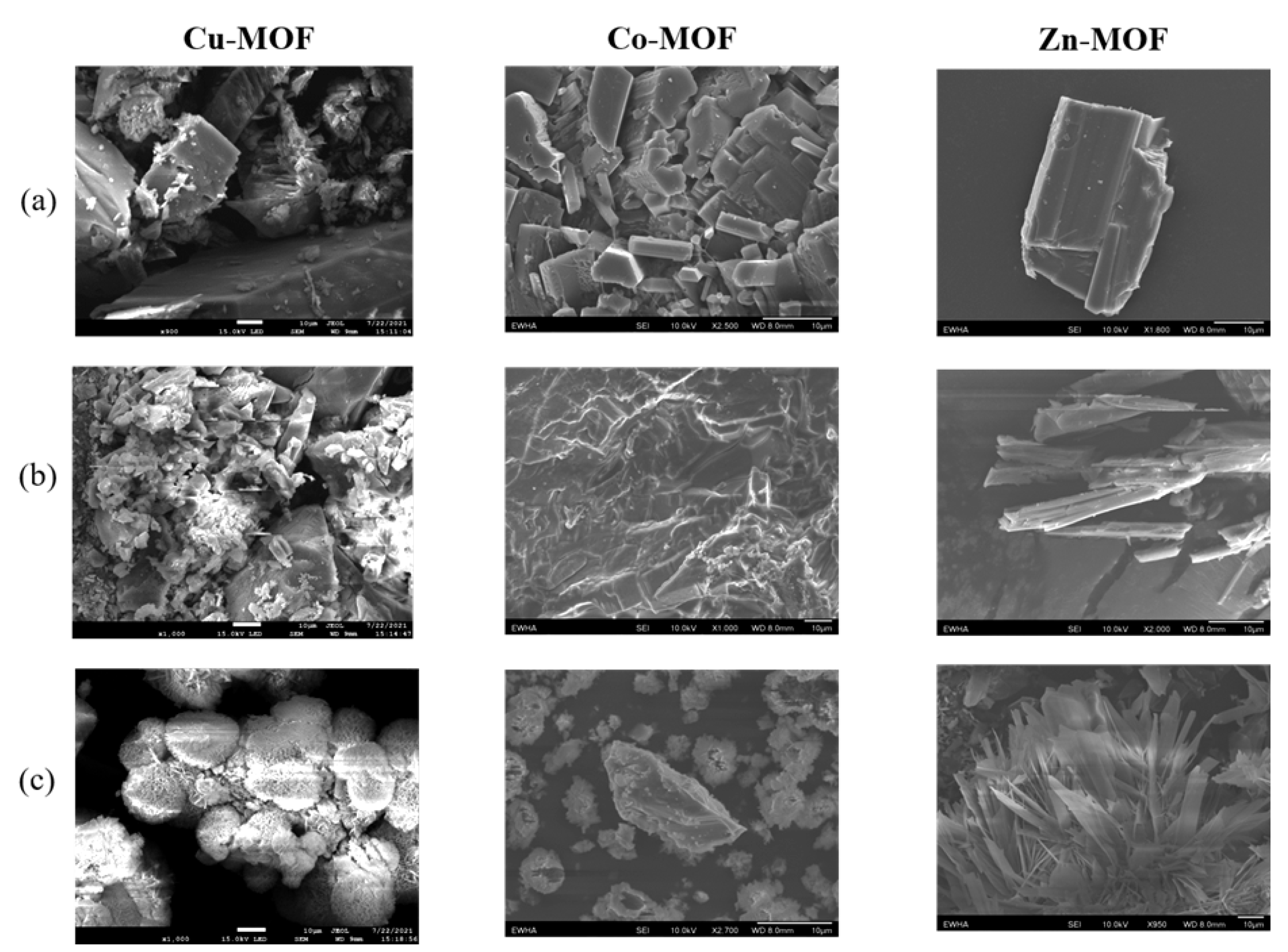Pharmaceutics 14 00378 g005 550