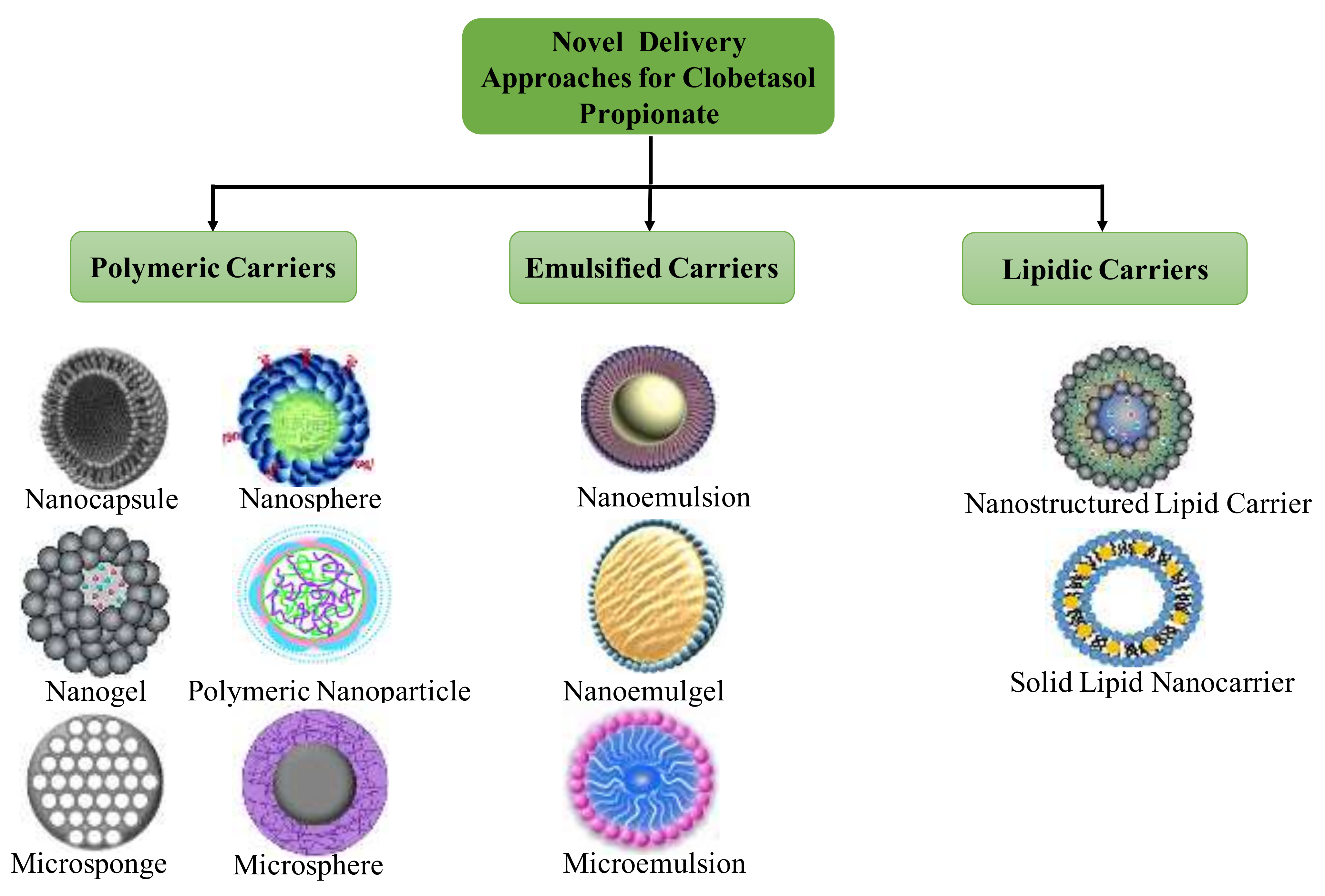 Pharmaceutics 14 00383 g001