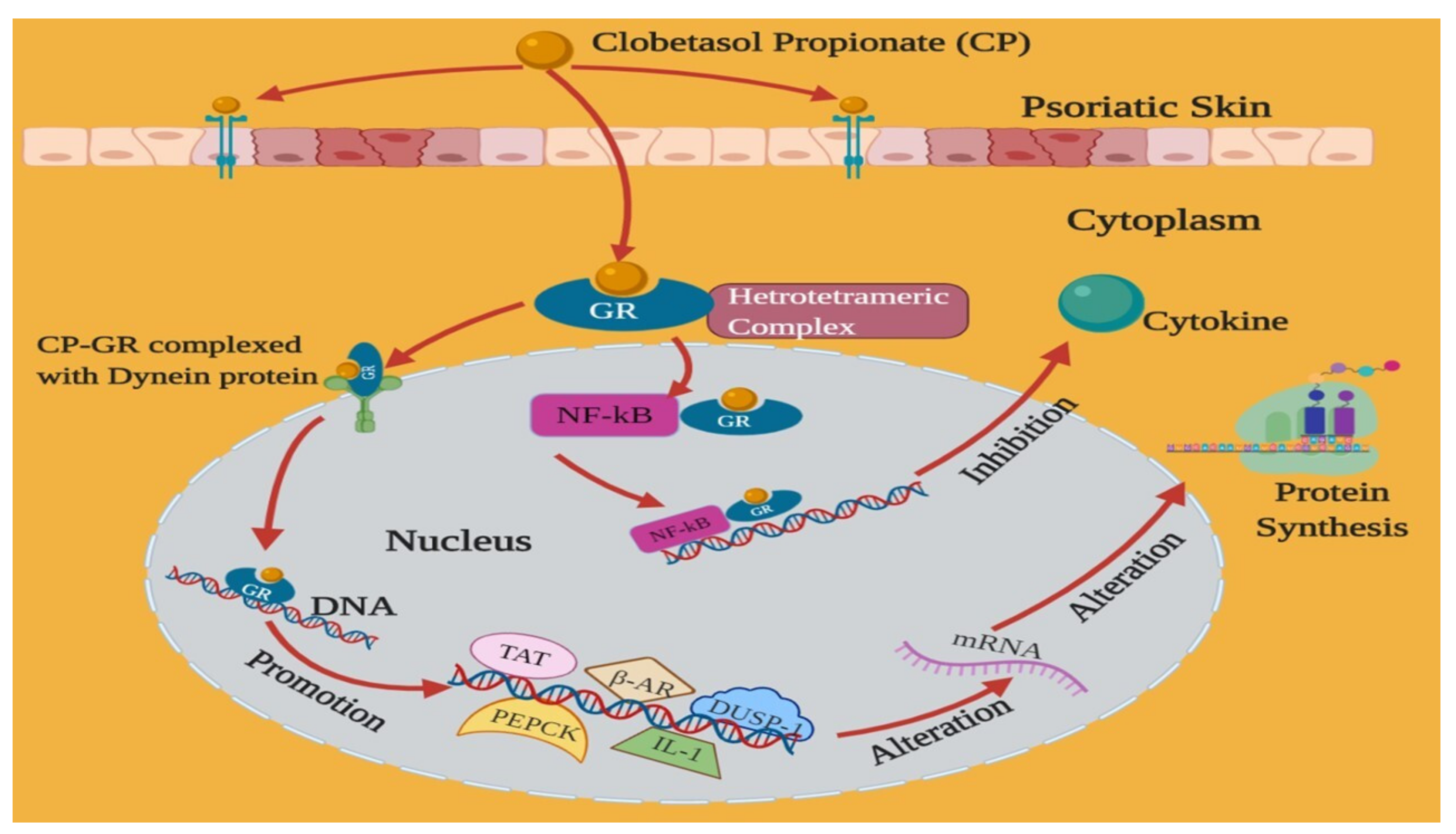 Pharmaceutics 14 00383 g003