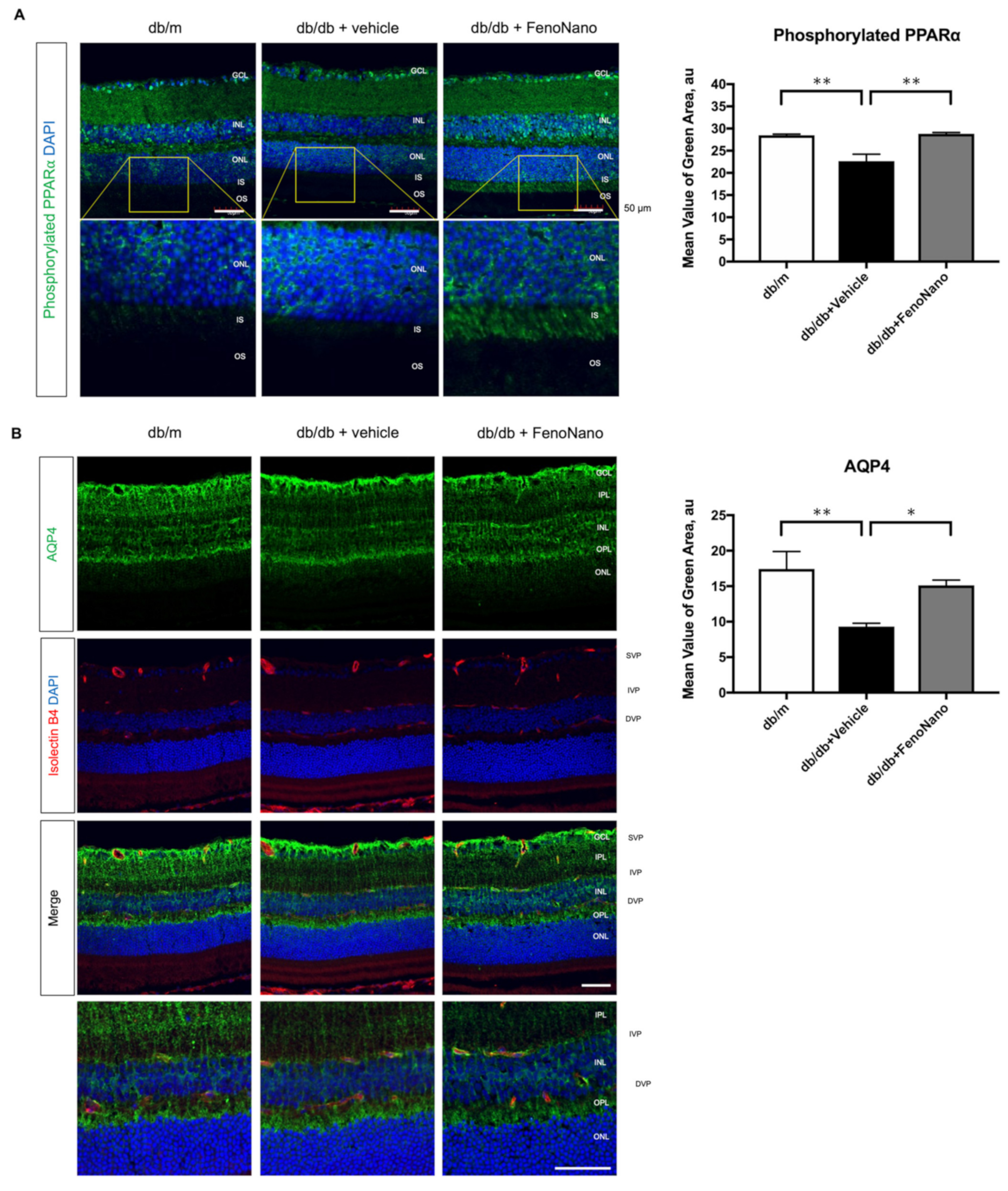 Pharmaceutics 14 00384 g007a