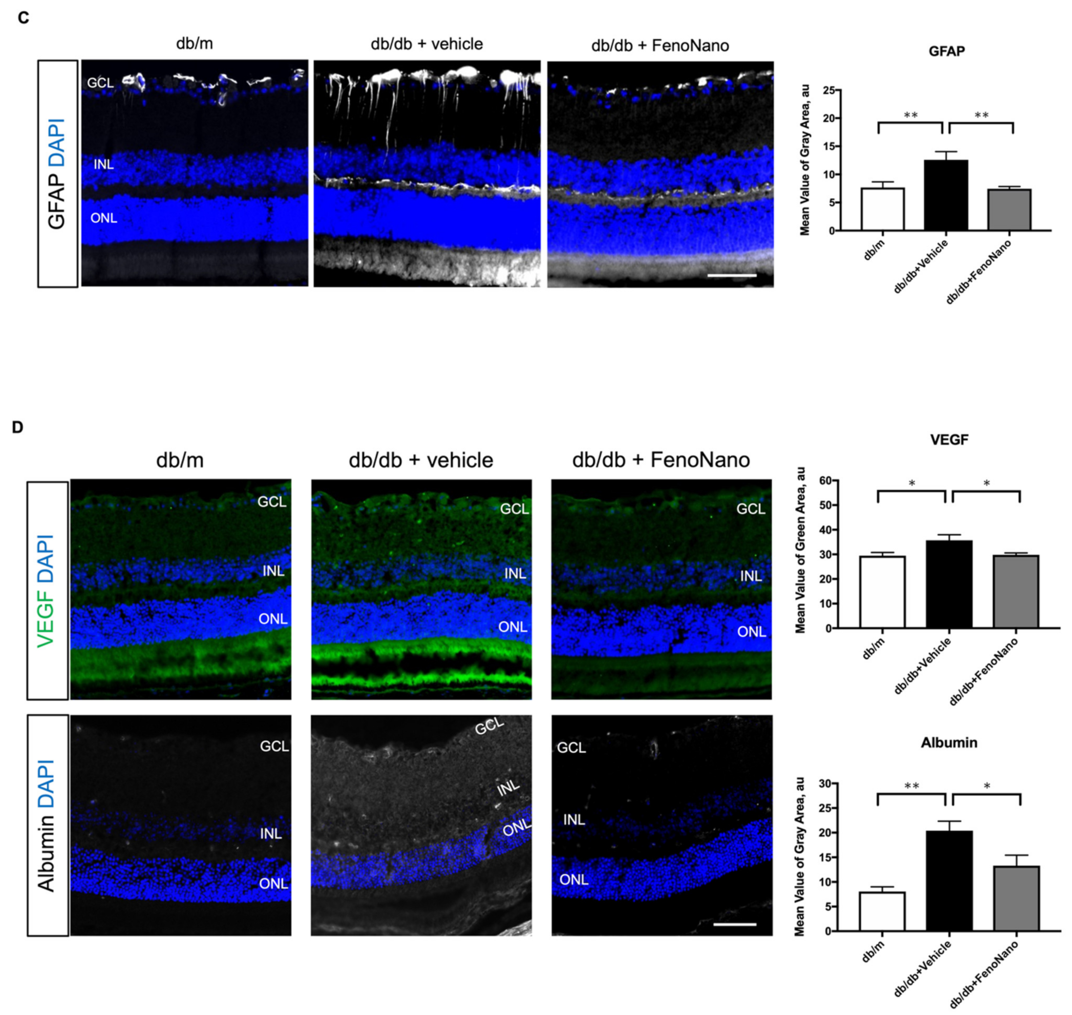 Pharmaceutics 14 00384 g007b