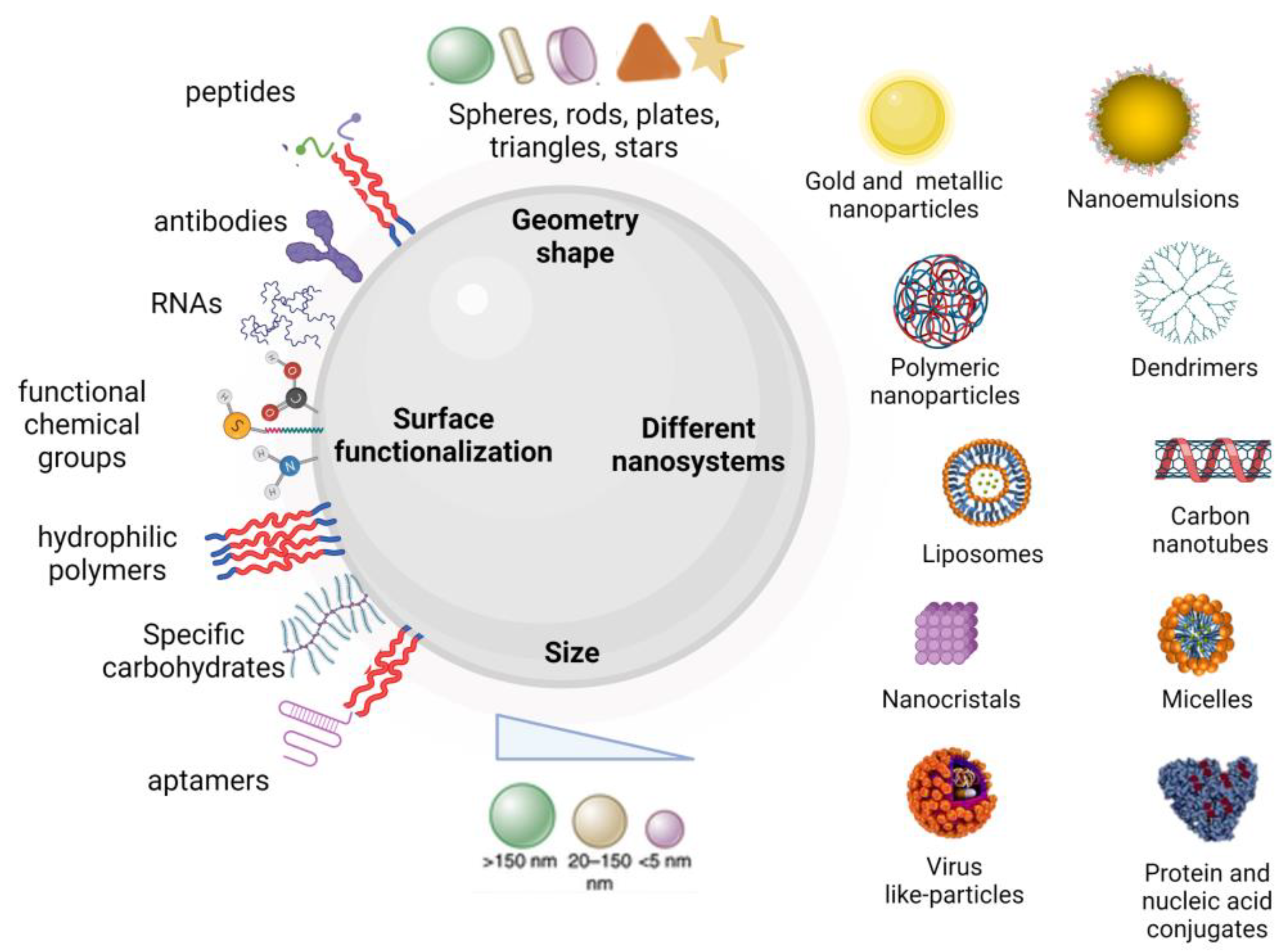 Pharmaceutics 14 00388 g001