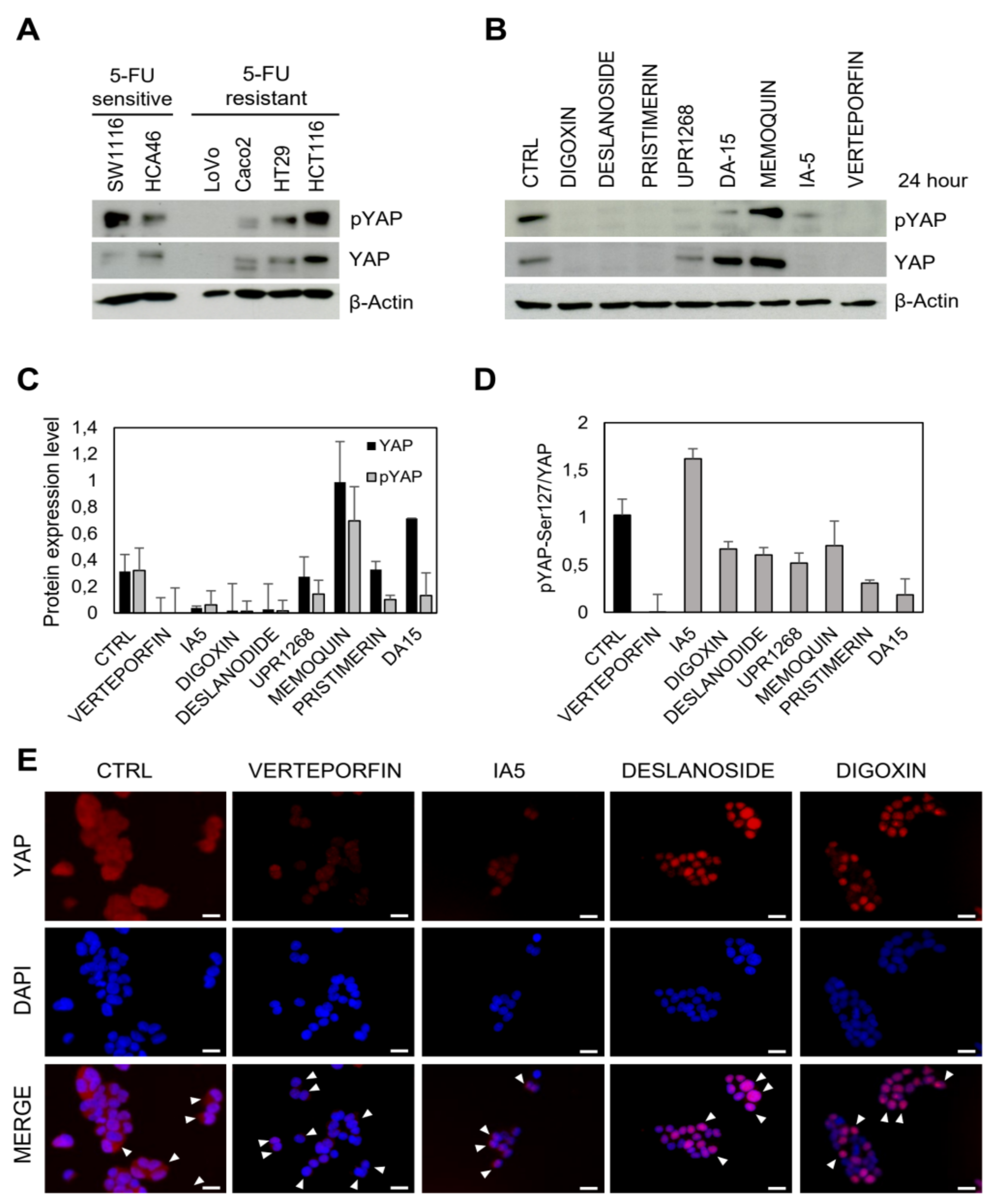 Pharmaceutics 14 00391 g007 550