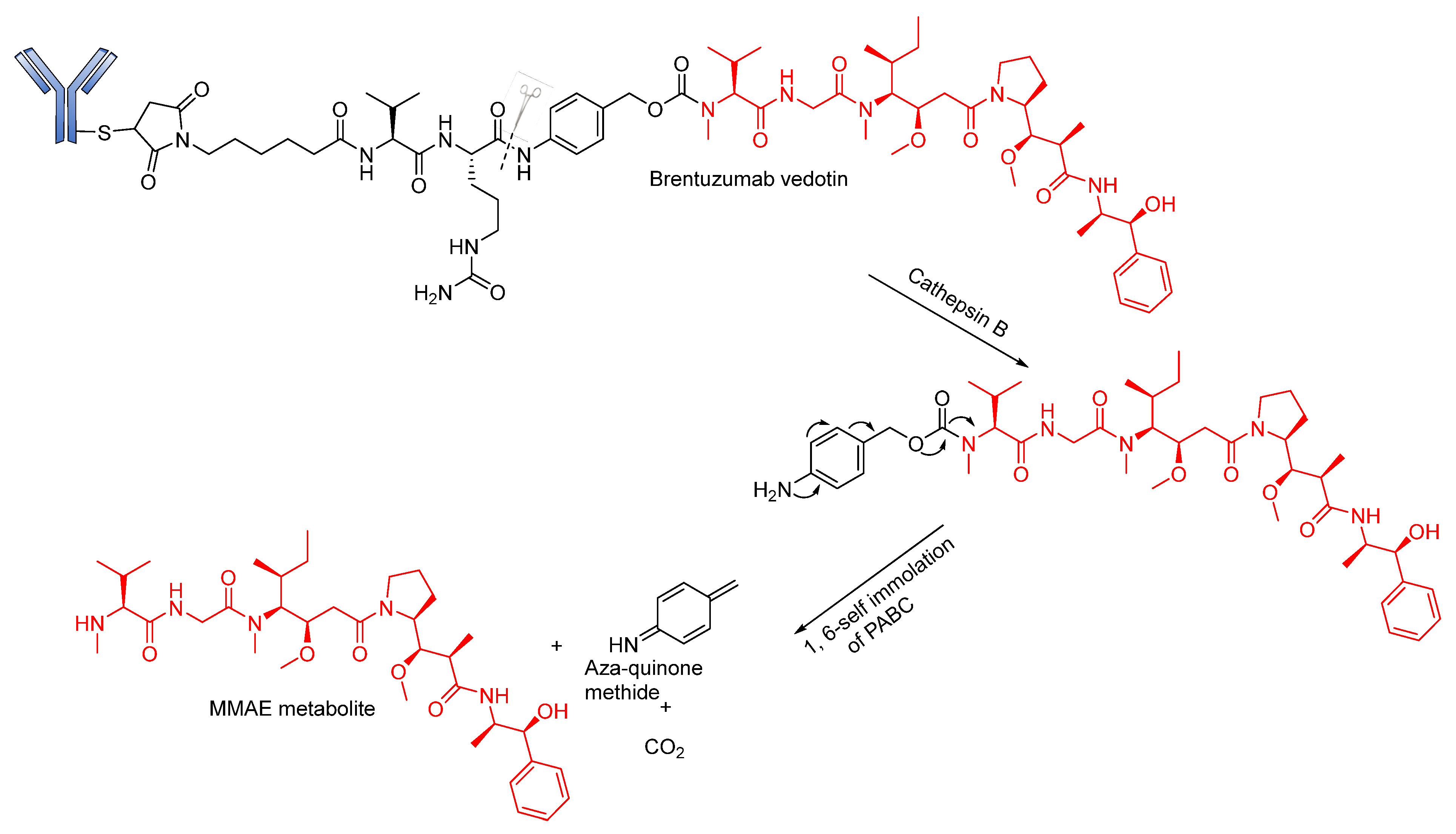 Pharmaceutics 14 00396 g009