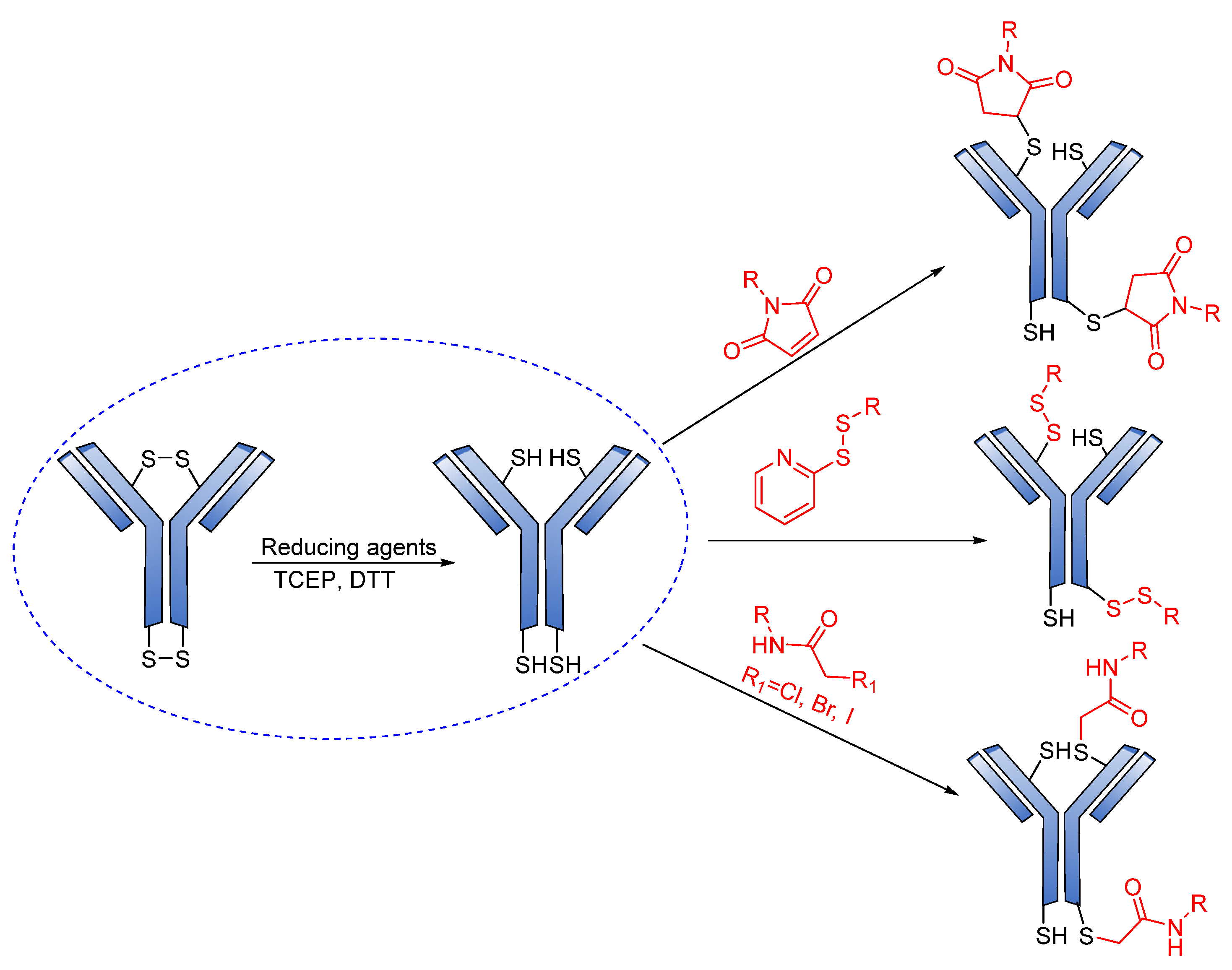 Pharmaceutics 14 00396 g018