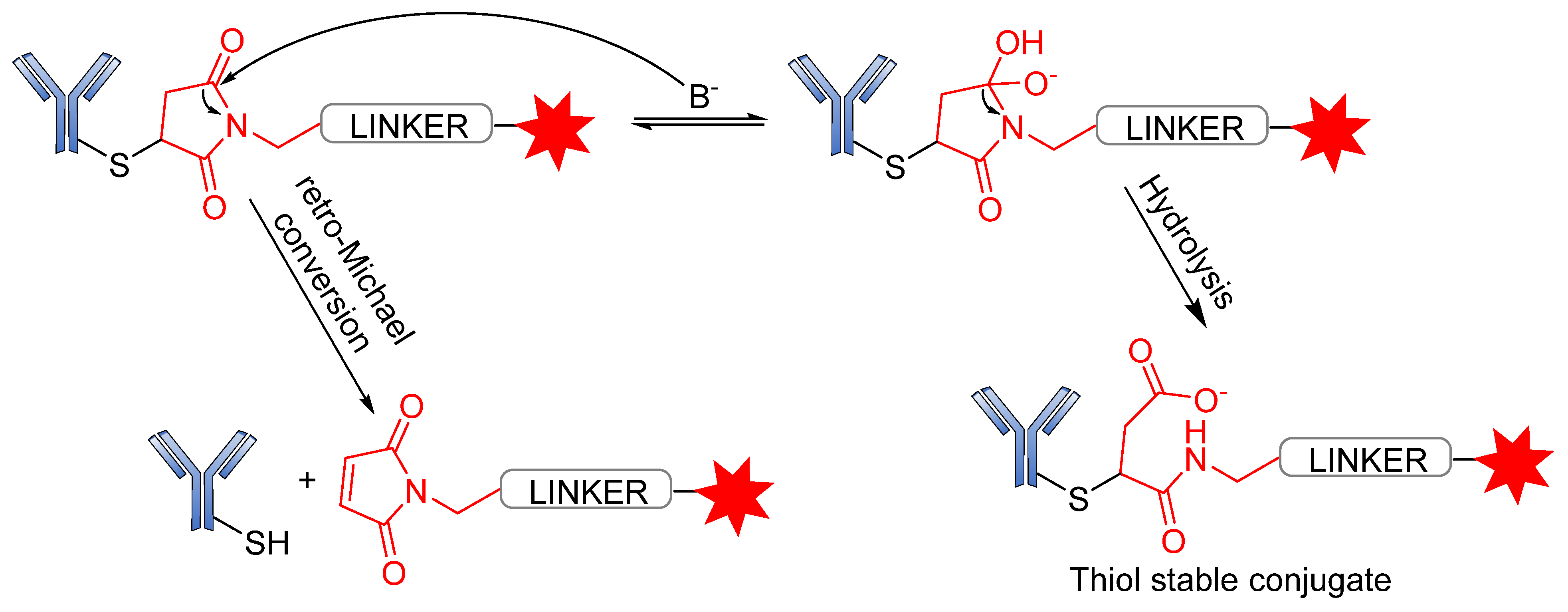 Pharmaceutics 14 00396 g019