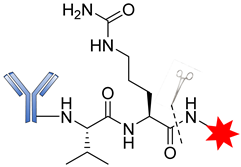 Pharmaceutics 14 00396 i007
