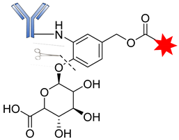 Pharmaceutics 14 00396 i010