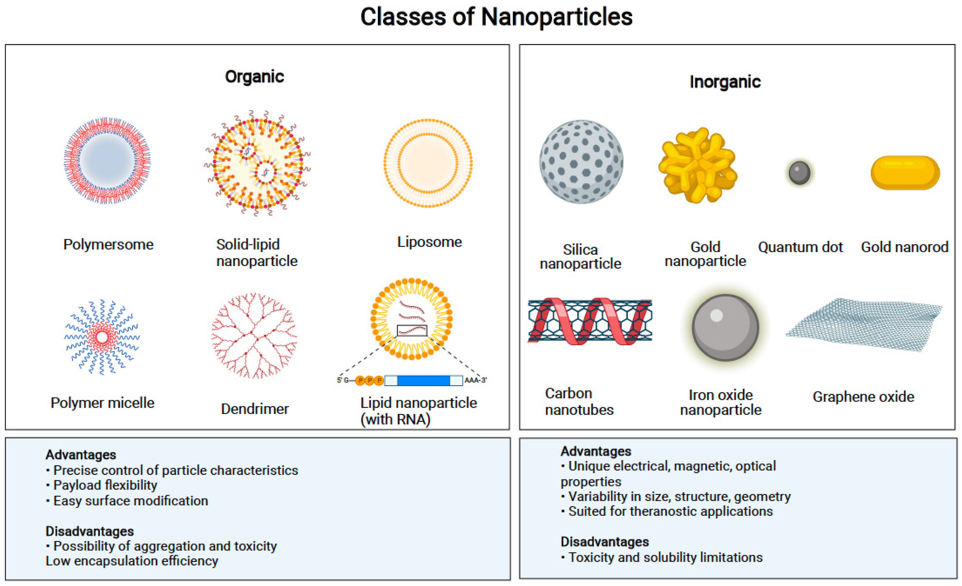 Pharmaceutics | Free Full-Text | The Landscape of Nanovectors for 