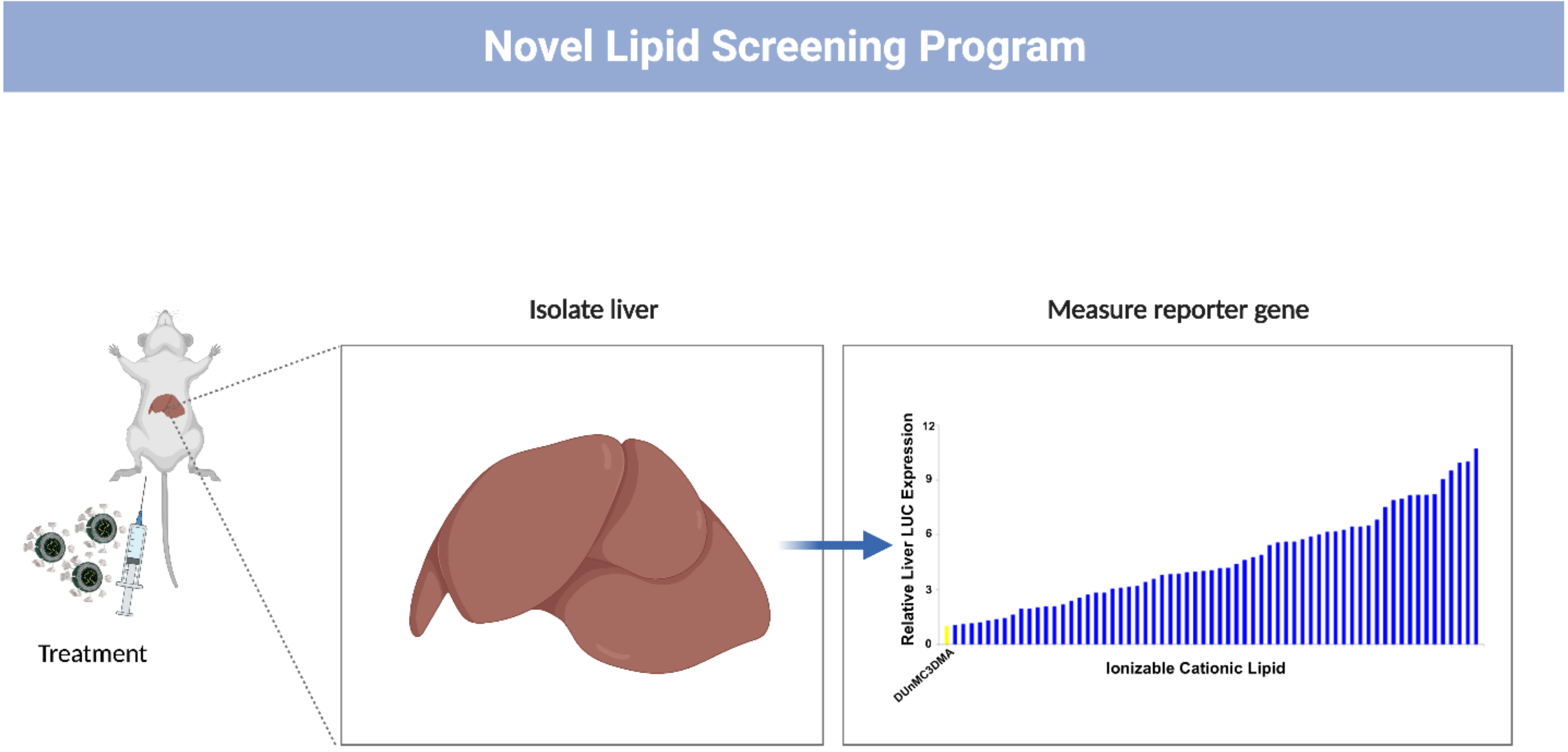 Acidification-Induced Structure Evolution of Lipid Nanoparticles