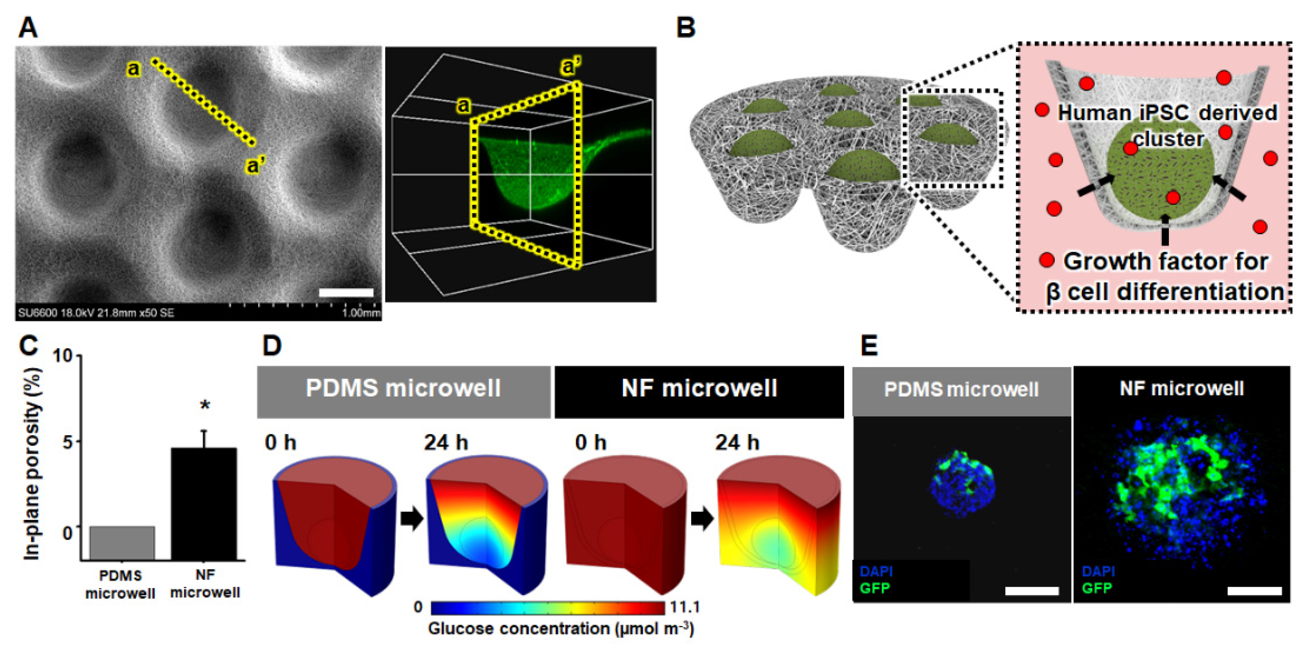 Pharmaceutics 14 00400 g001 550