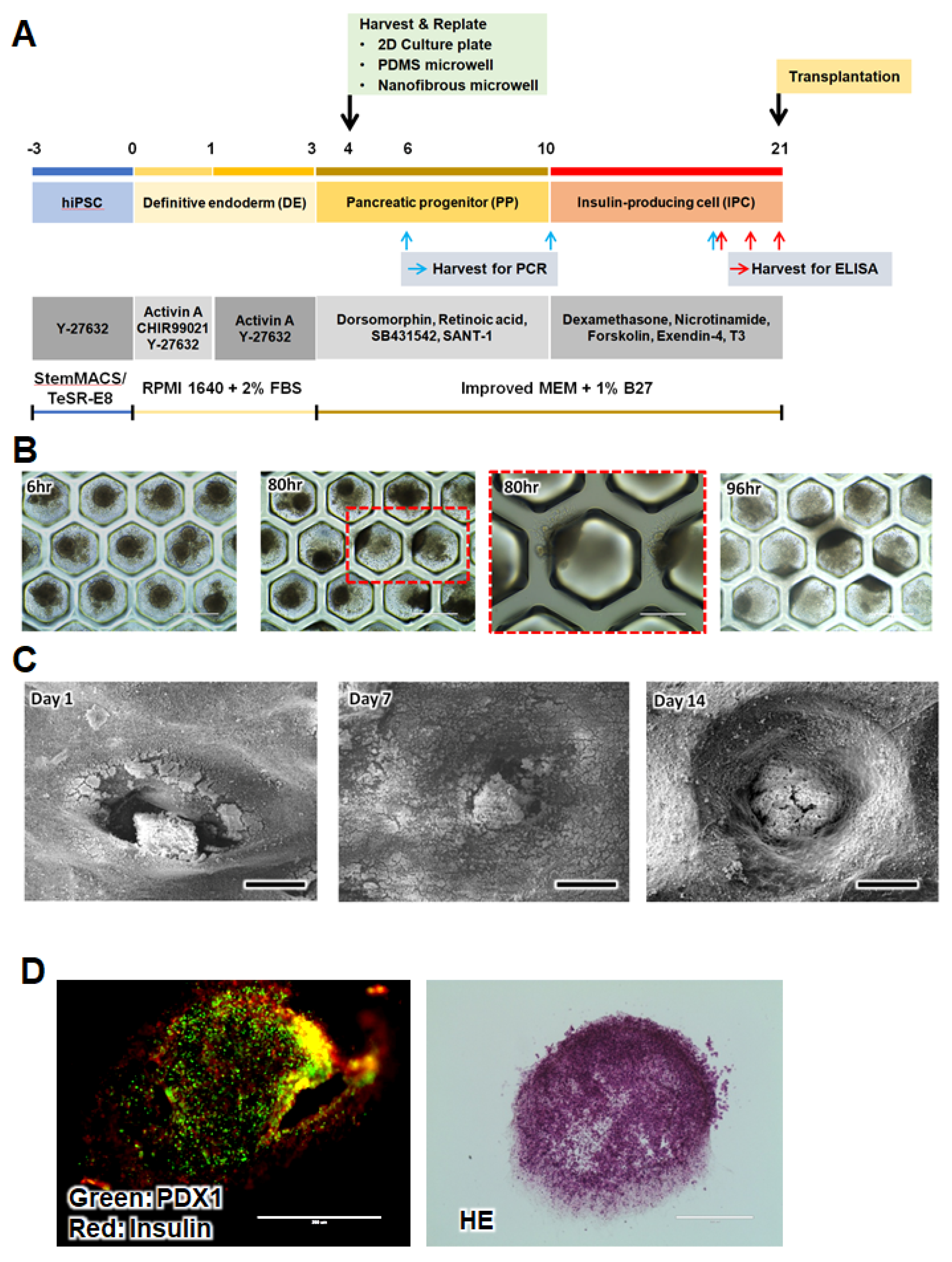 Pharmaceutics 14 00400 g002 550