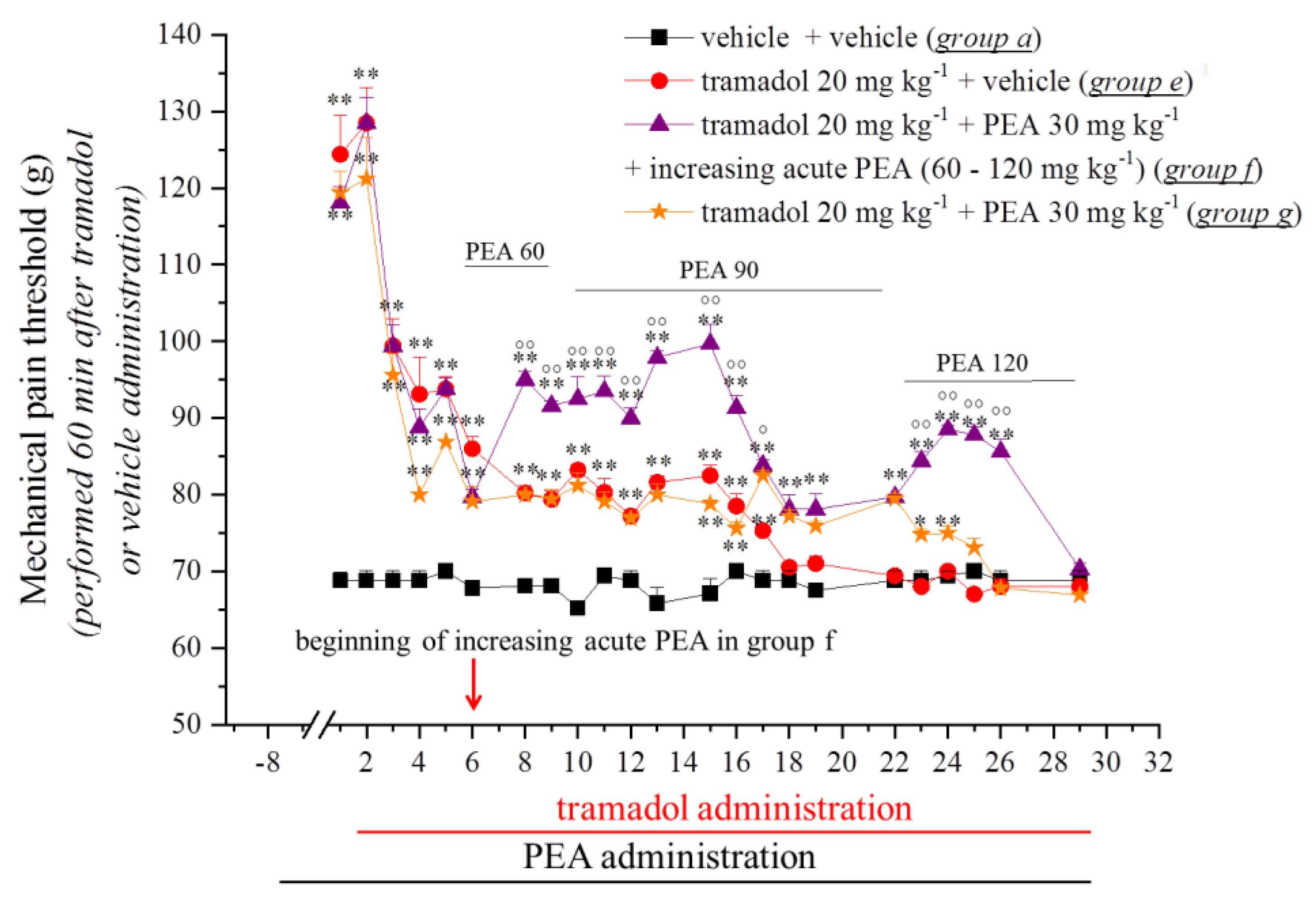 Pharmaceutics 14 00403 g002