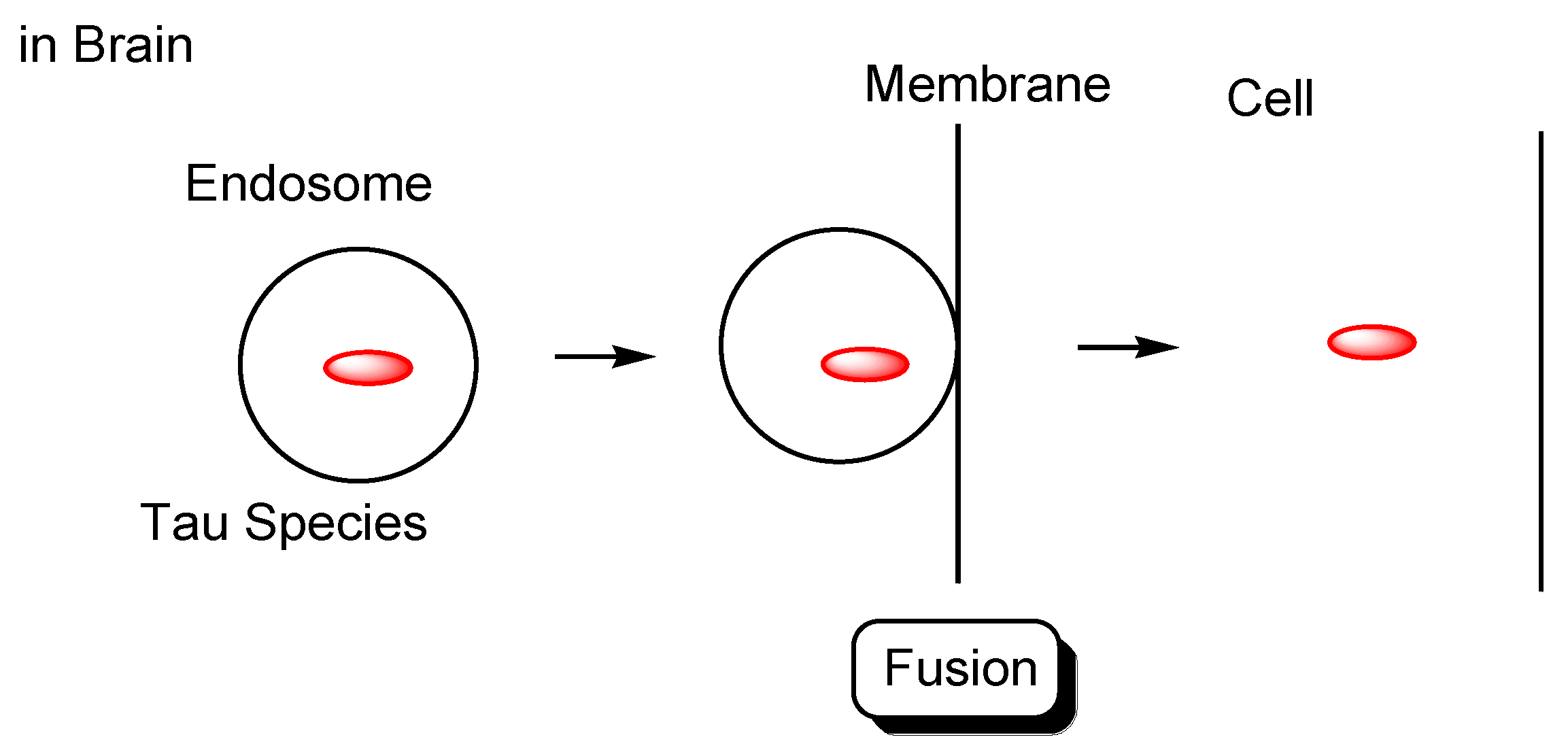 Pharmaceutics 14 00411 g005