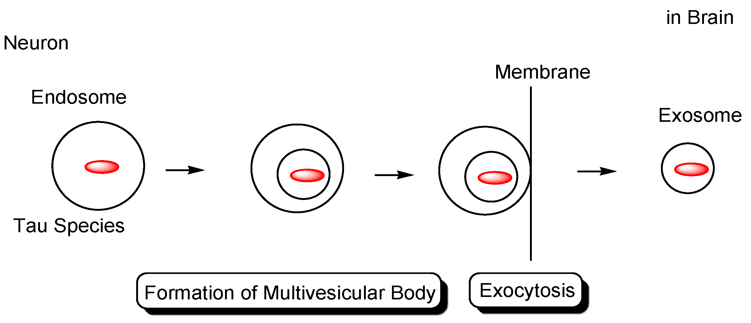 Pharmaceutics 14 00411 g007