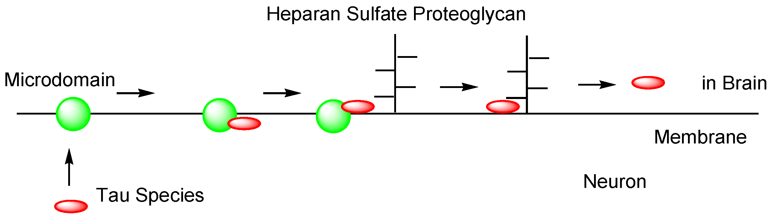 Pharmaceutics 14 00411 g010