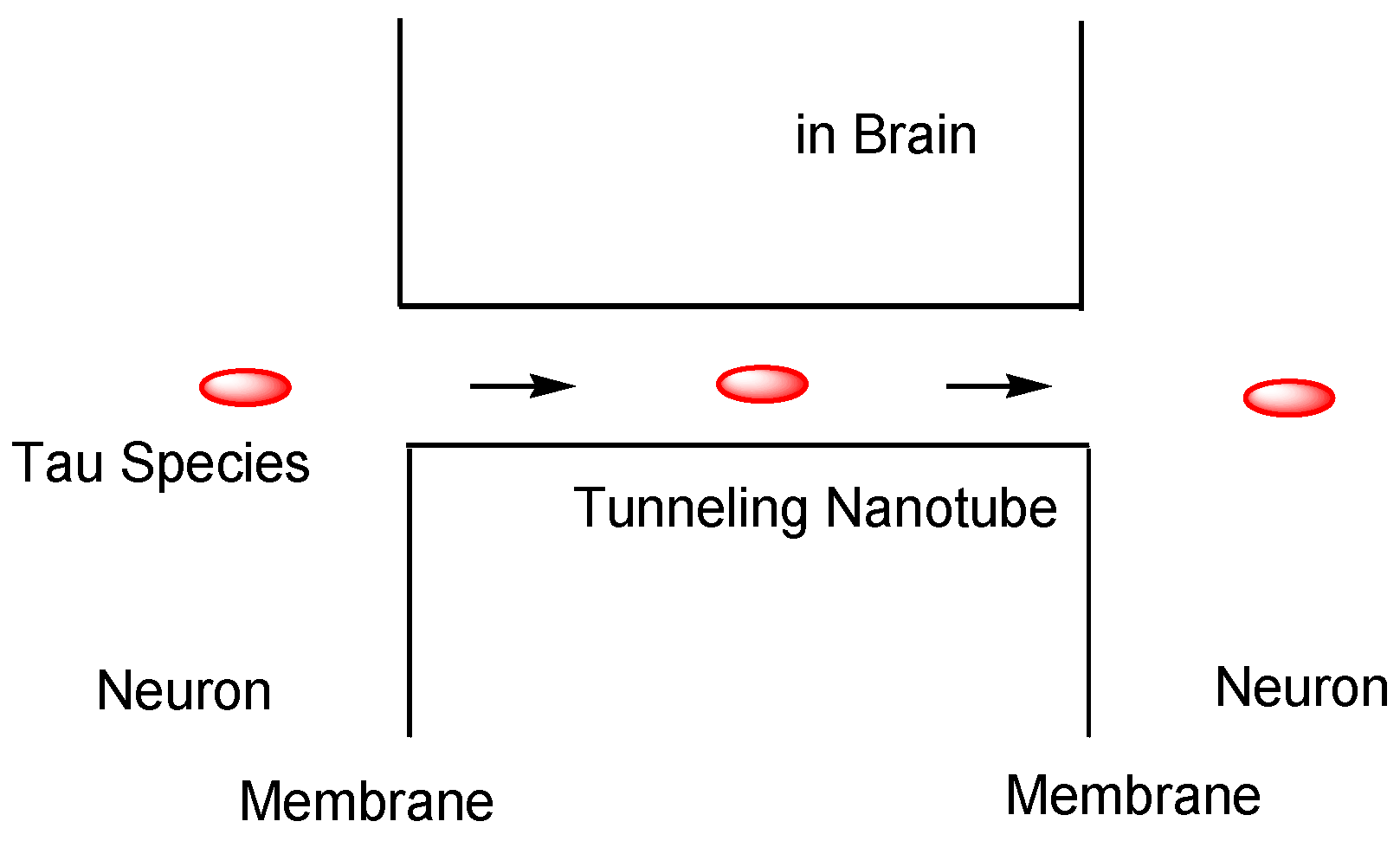 Pharmaceutics 14 00411 g011