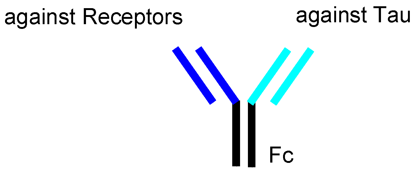 Pharmaceutics 14 00411 g012