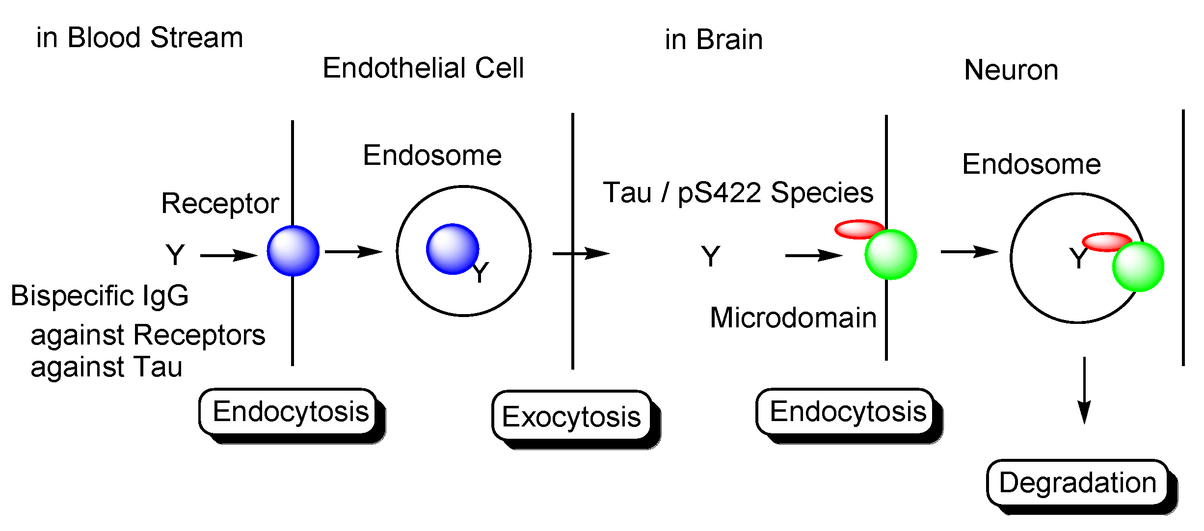 Pharmaceutics 14 00411 g014