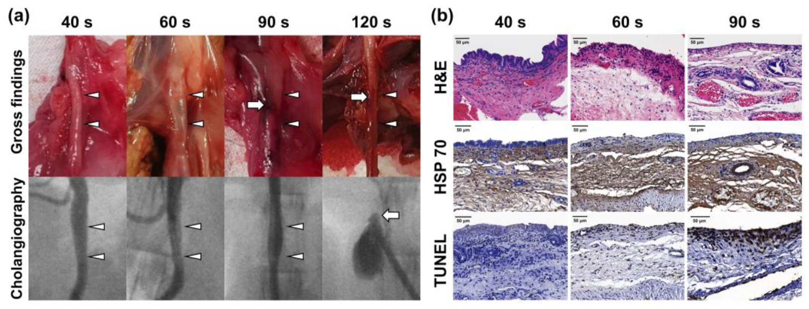 Pharmaceutics 14 00412 g003 Pharmaceutics 14 00412 g003