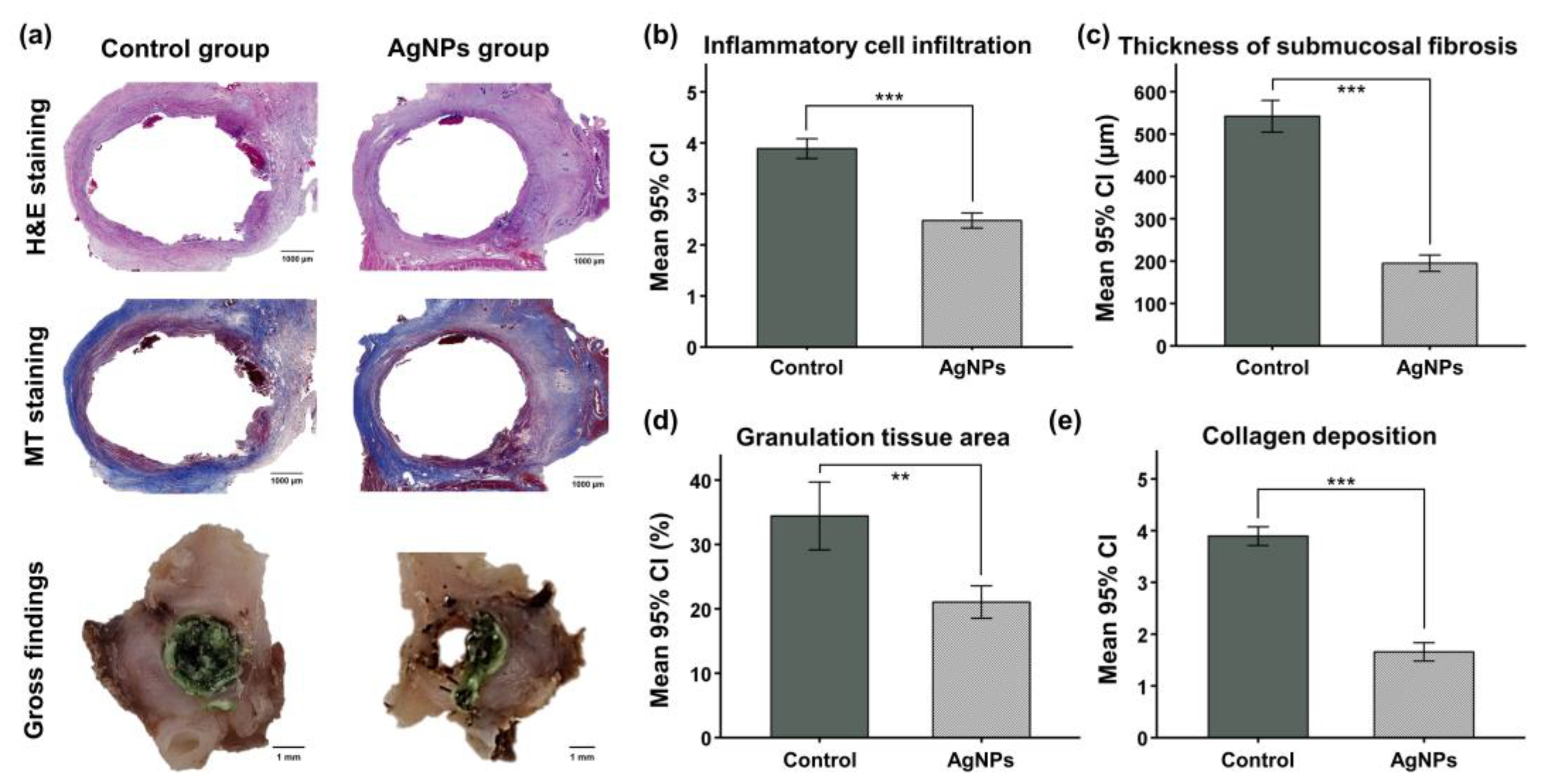 Pharmaceutics 14 00412 g005 Pharmaceutics 14 00412 g005