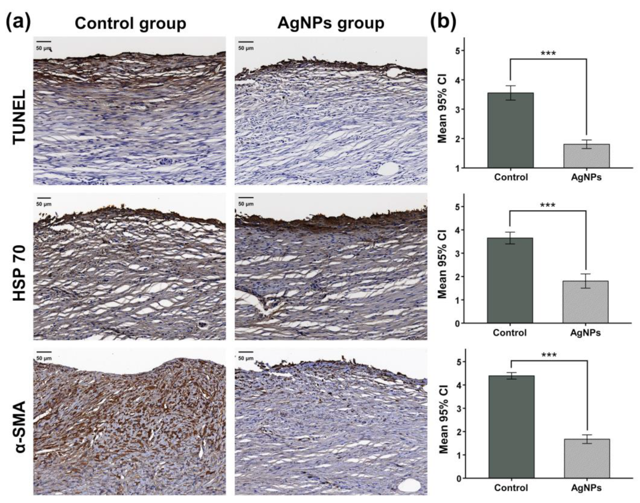 Pharmaceutics 14 00412 g006 Pharmaceutics 14 00412 g006