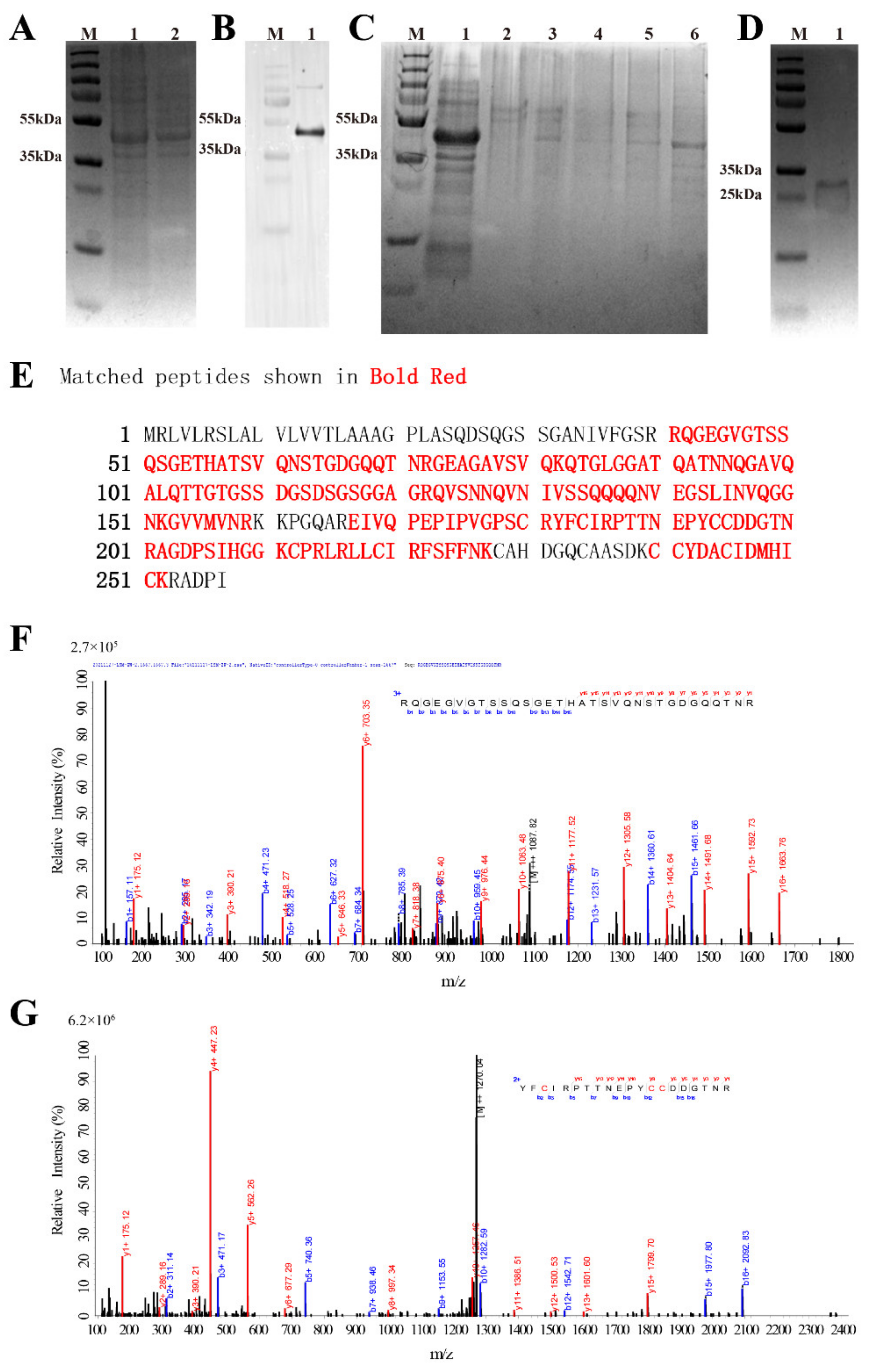 Pharmaceutics 14 00413 g003
