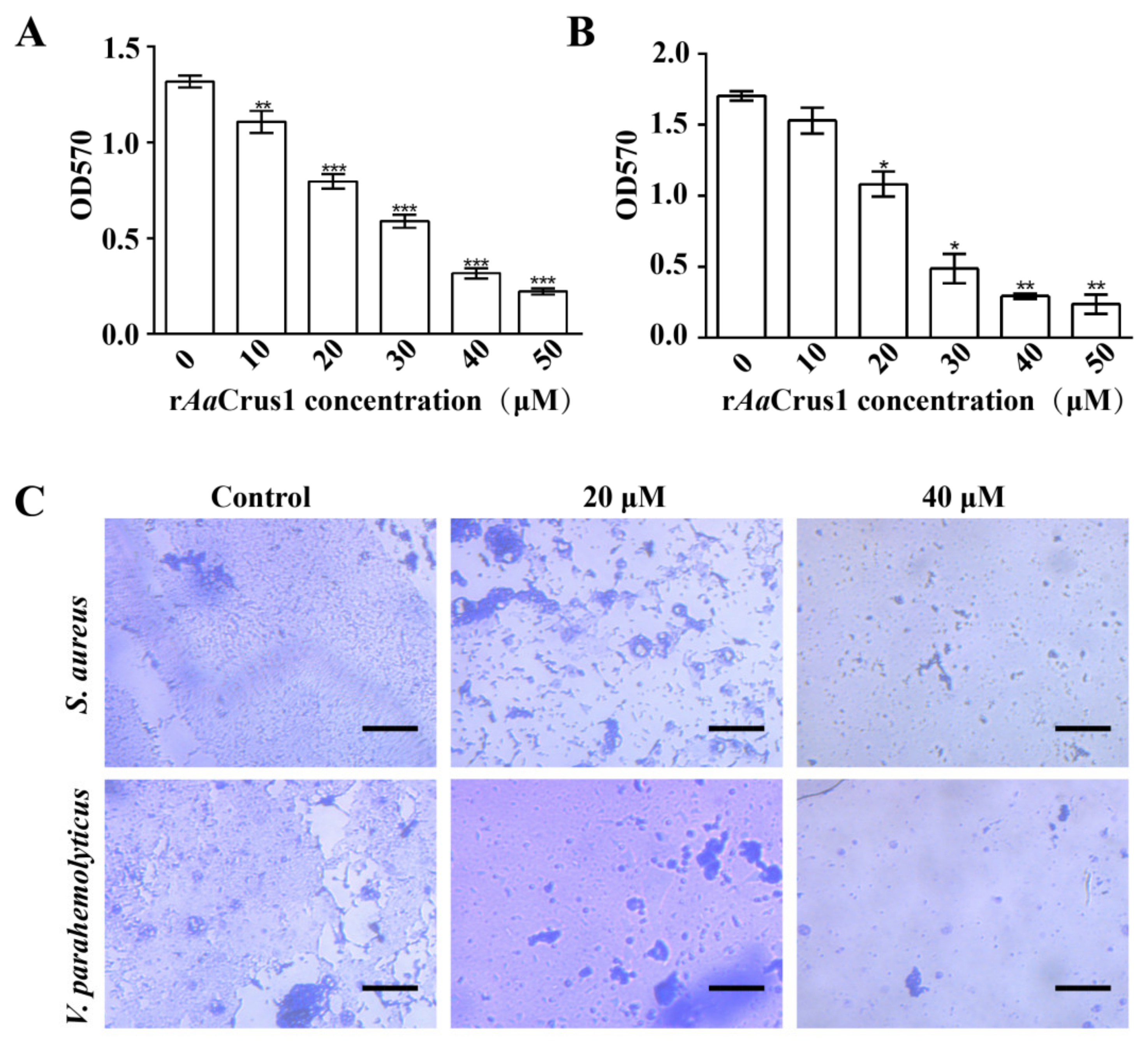 Pharmaceutics 14 00413 g007