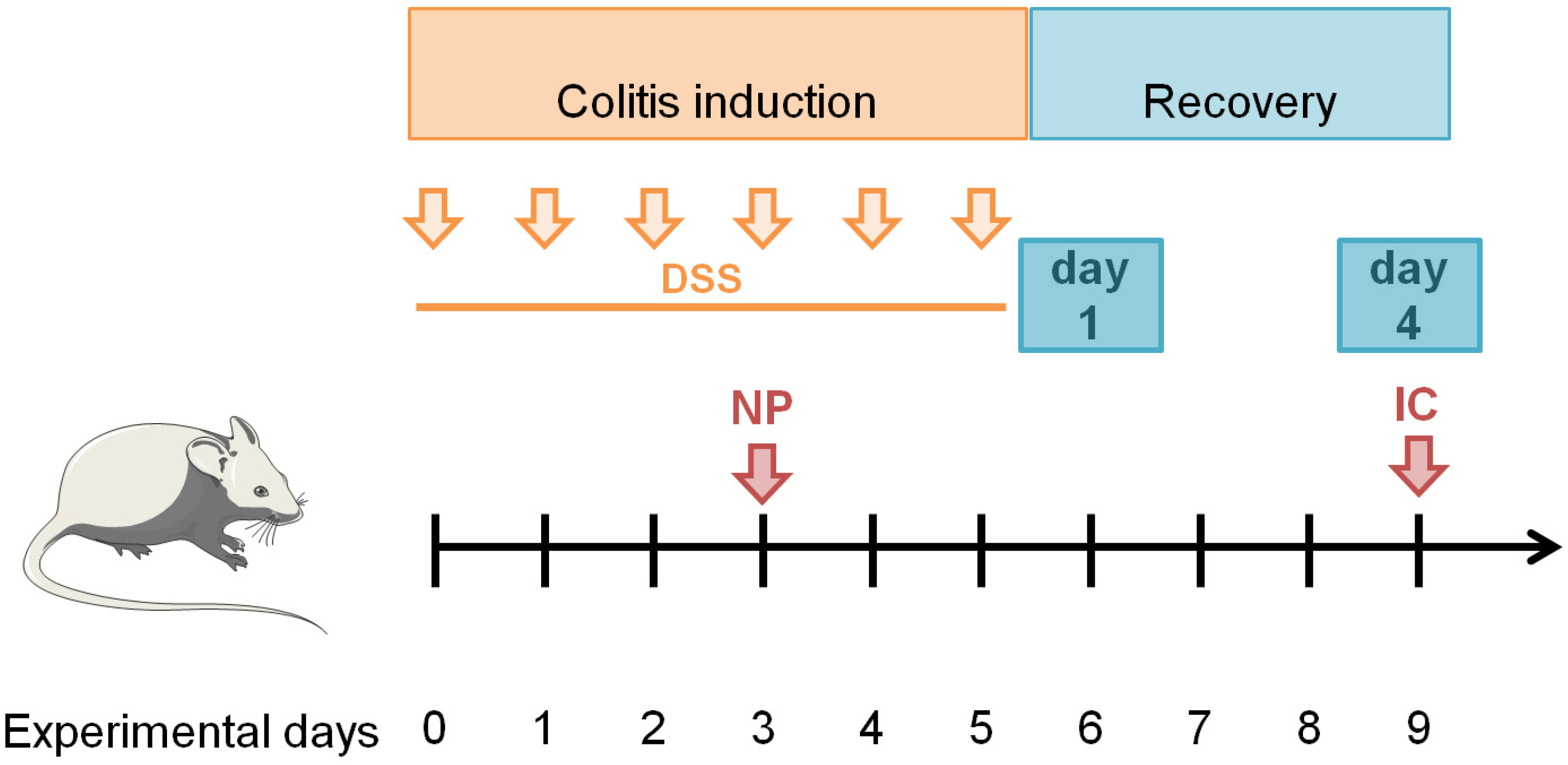 Pharmaceutics 14 00419 g002 550