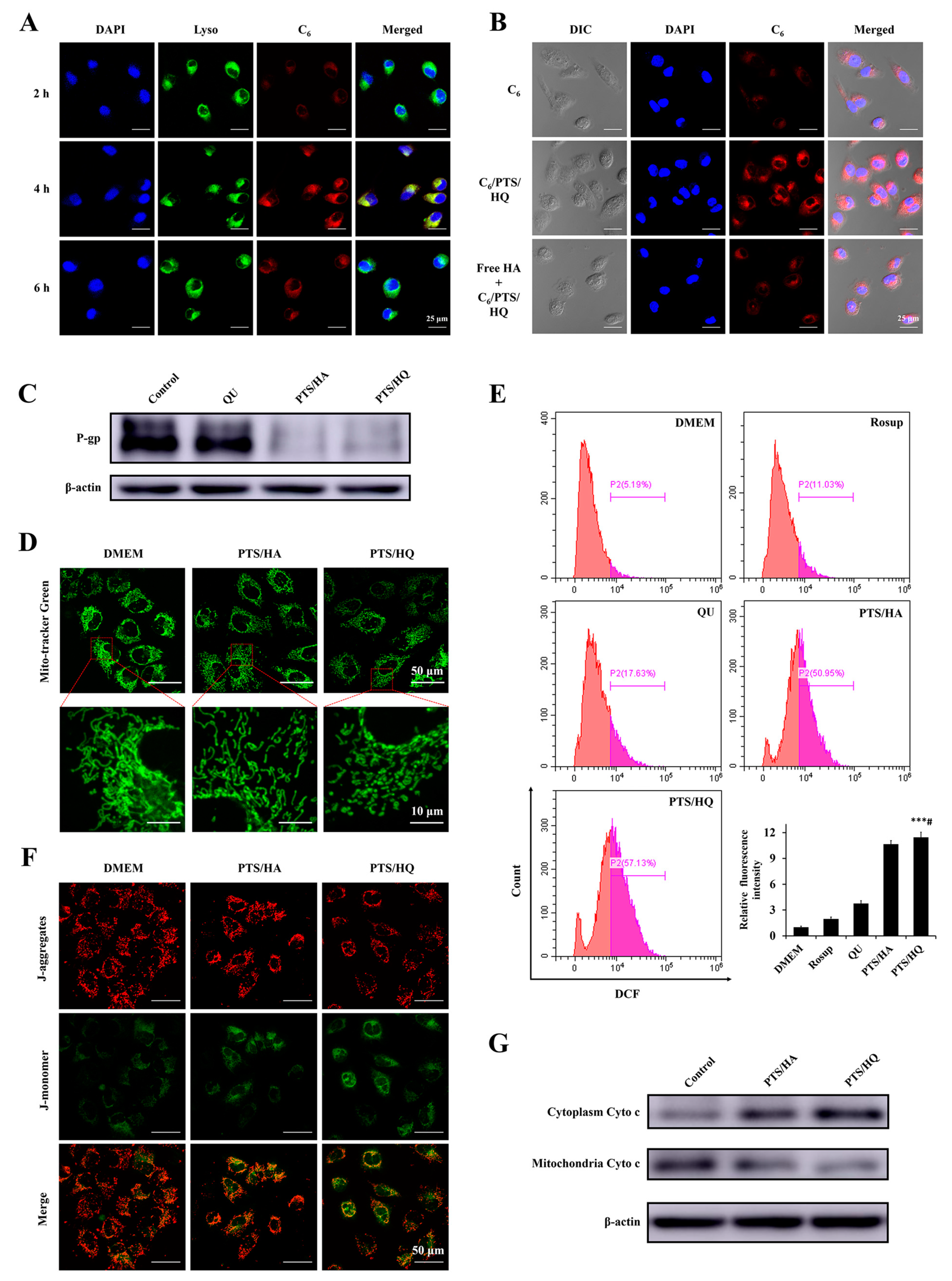 Pharmaceutics 14 00422 g005 550