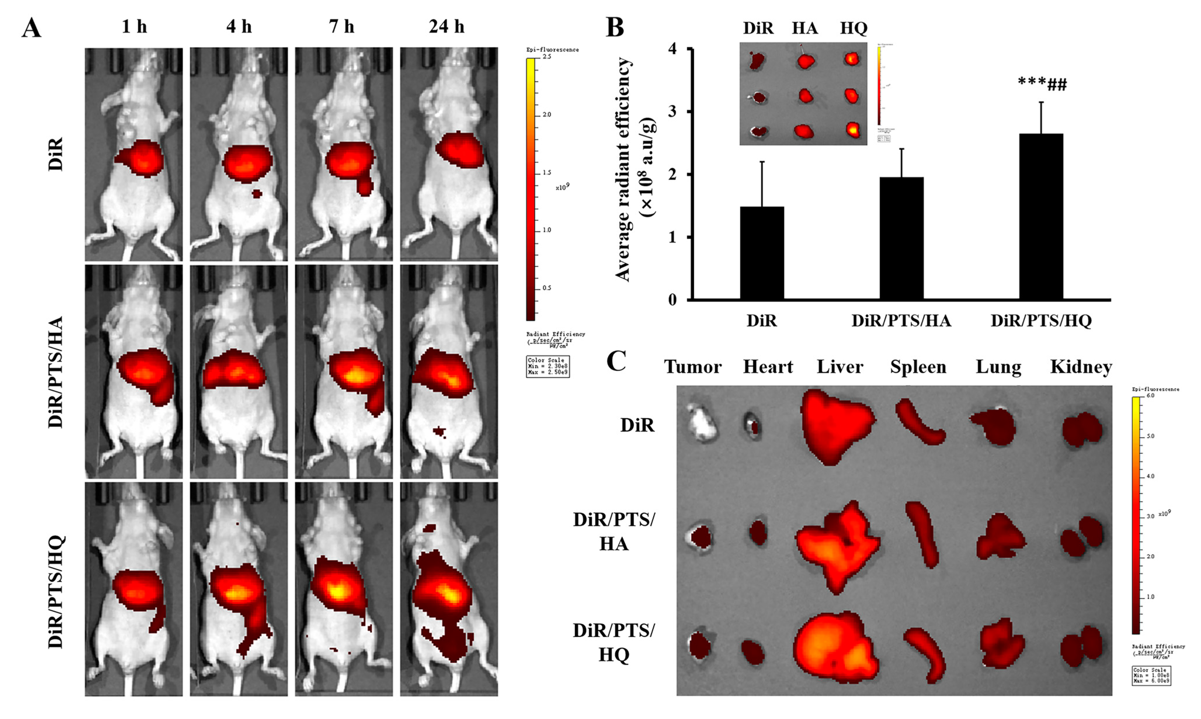 Pharmaceutics 14 00422 g006 550