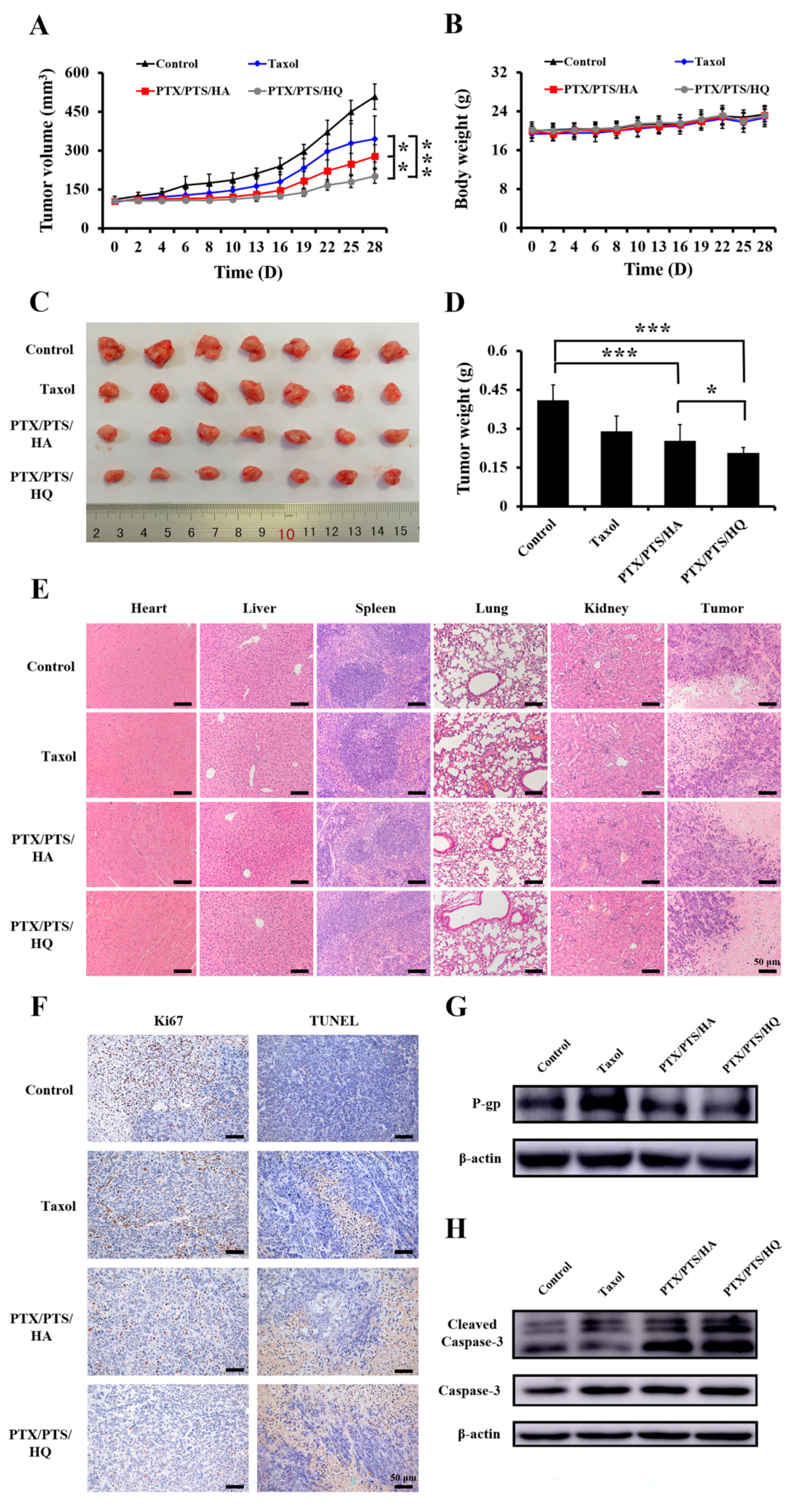 Pharmaceutics 14 00422 g007 550