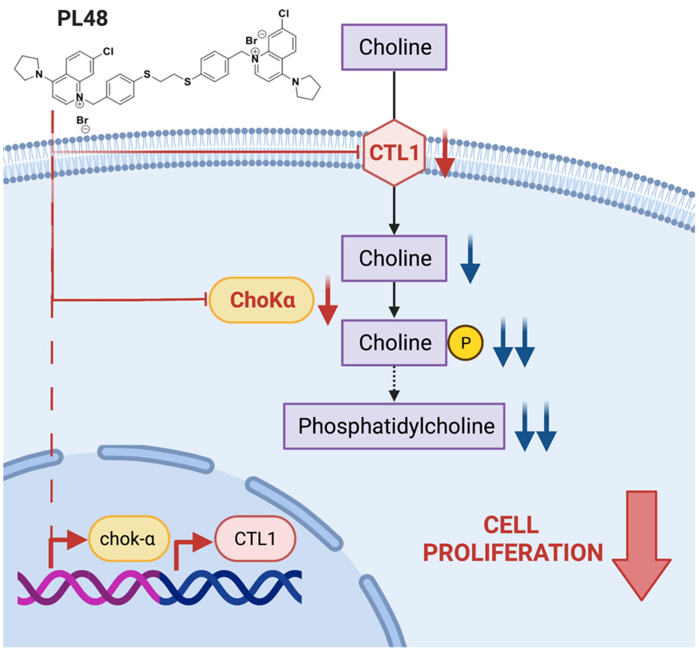 Pharmaceutics 14 00426 g010 550